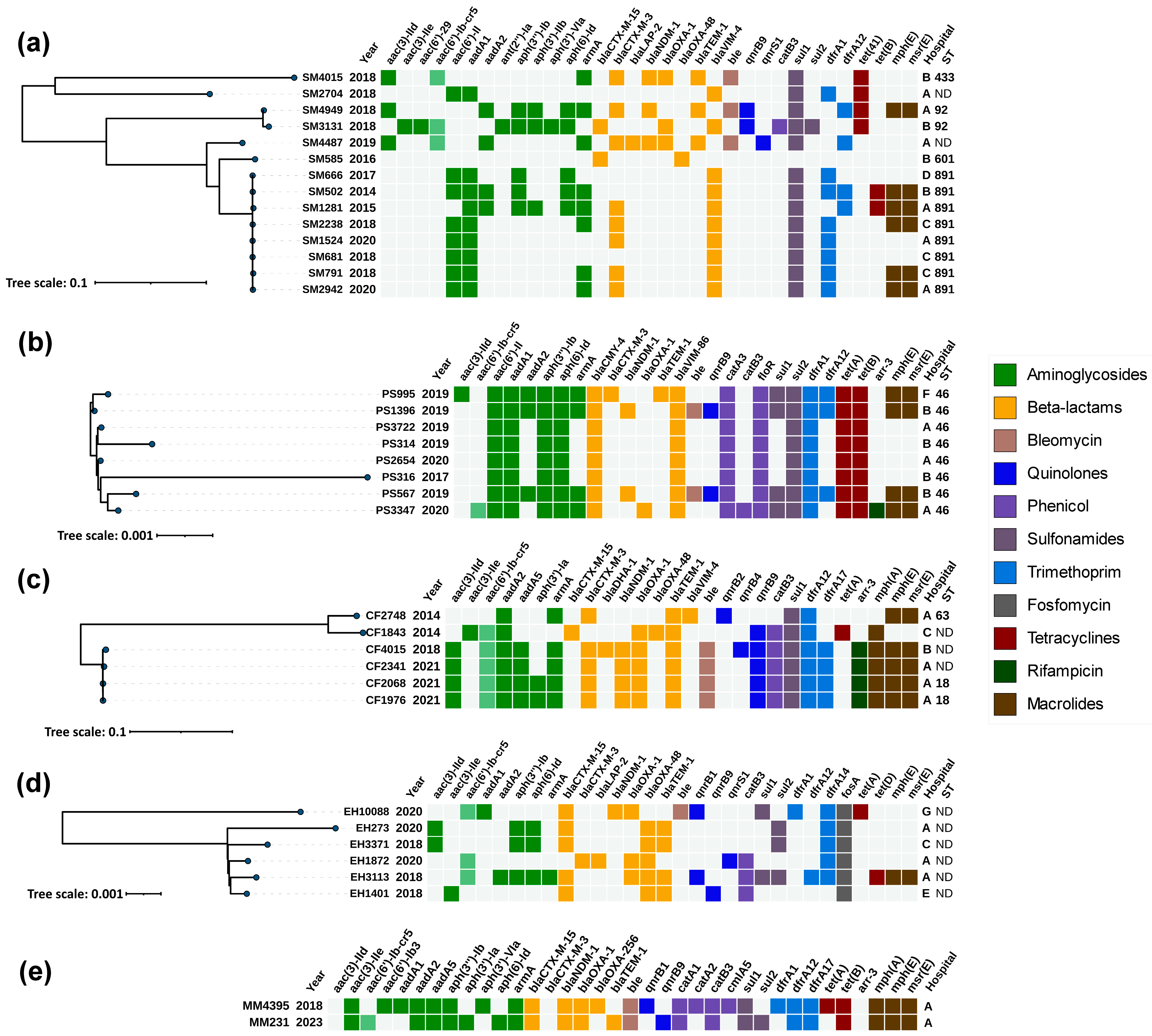 Antibiotics 13 00455 g001
