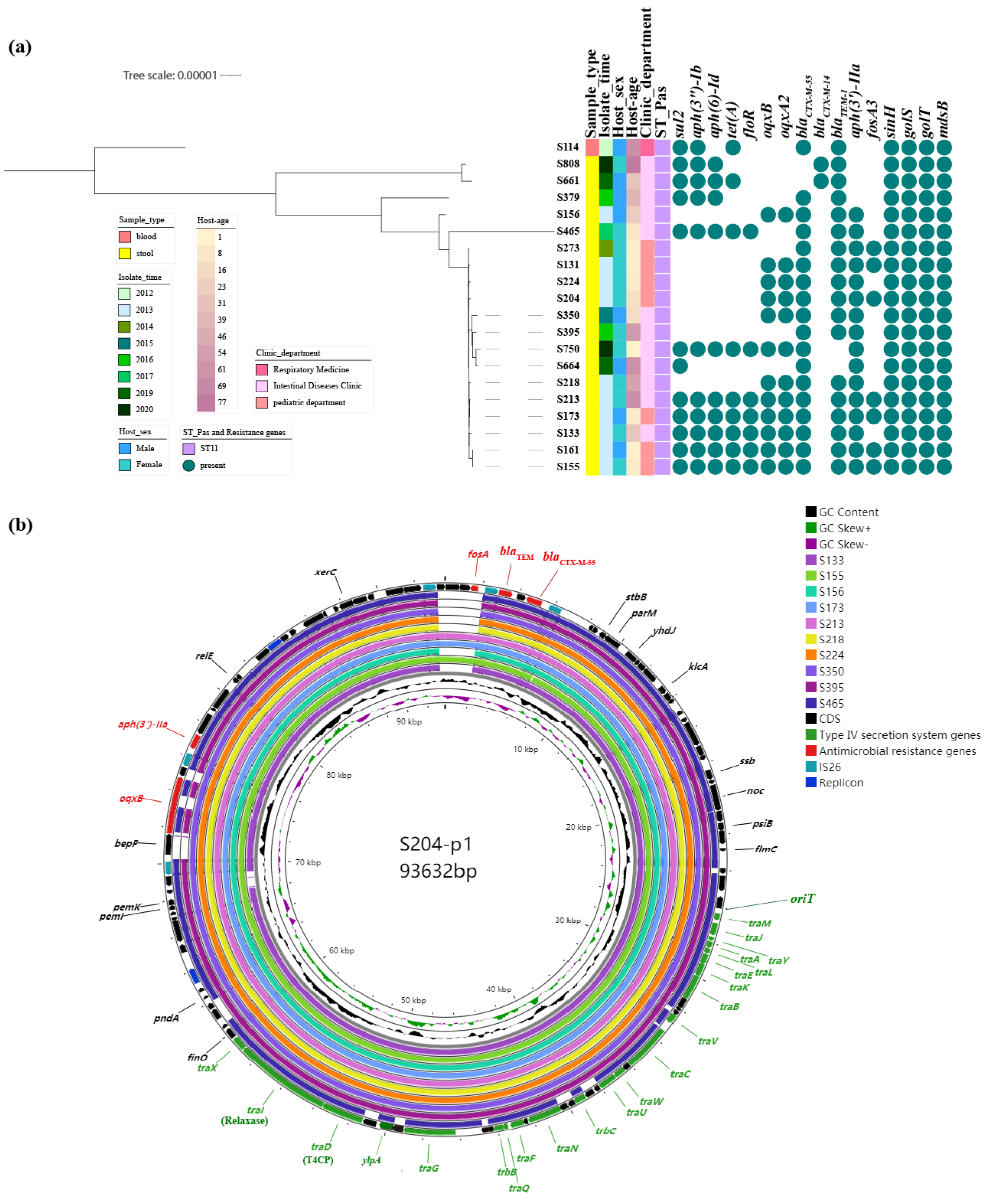 Antibiotics 13 00456 g001