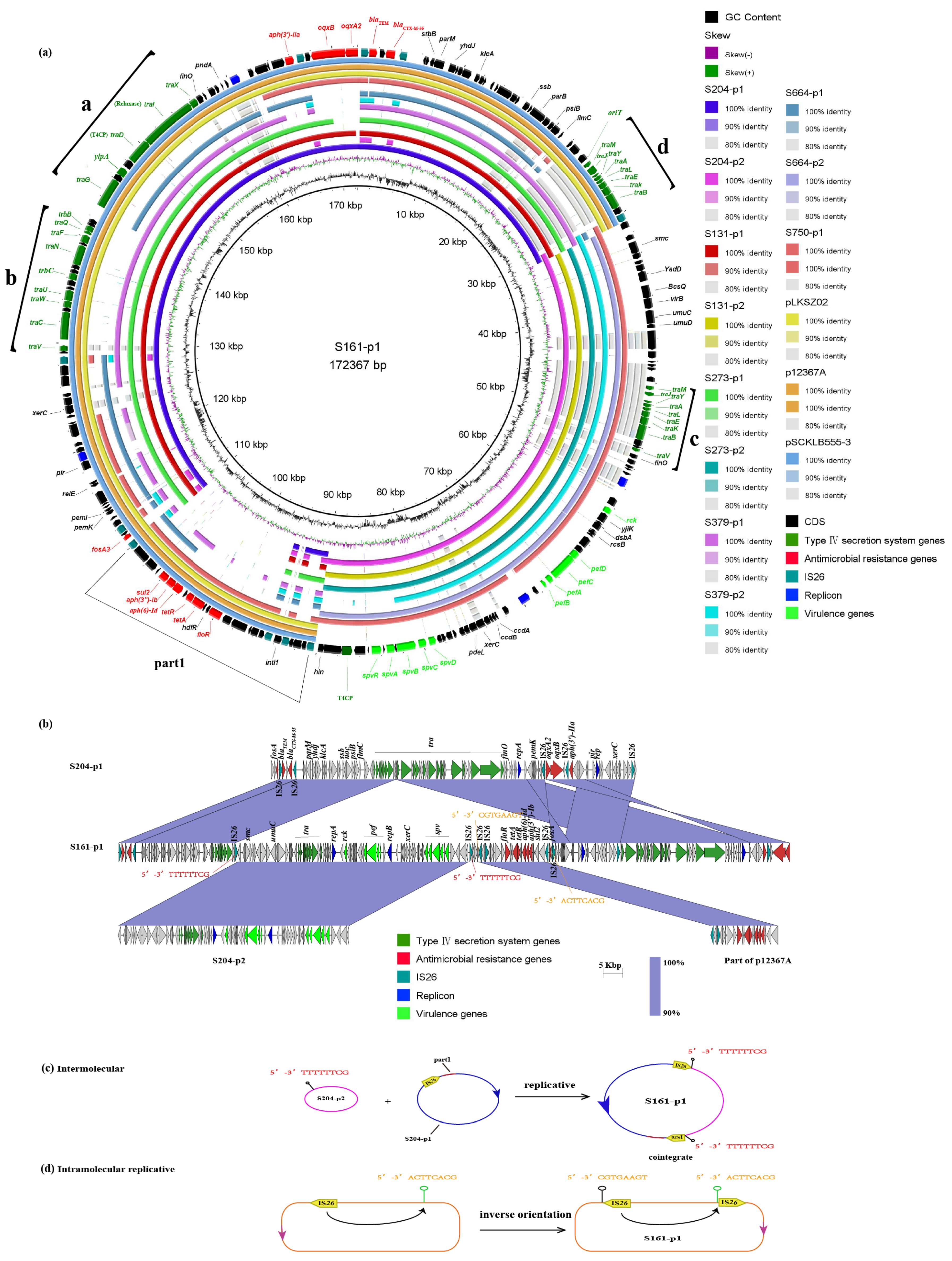 Antibiotics 13 00456 g002