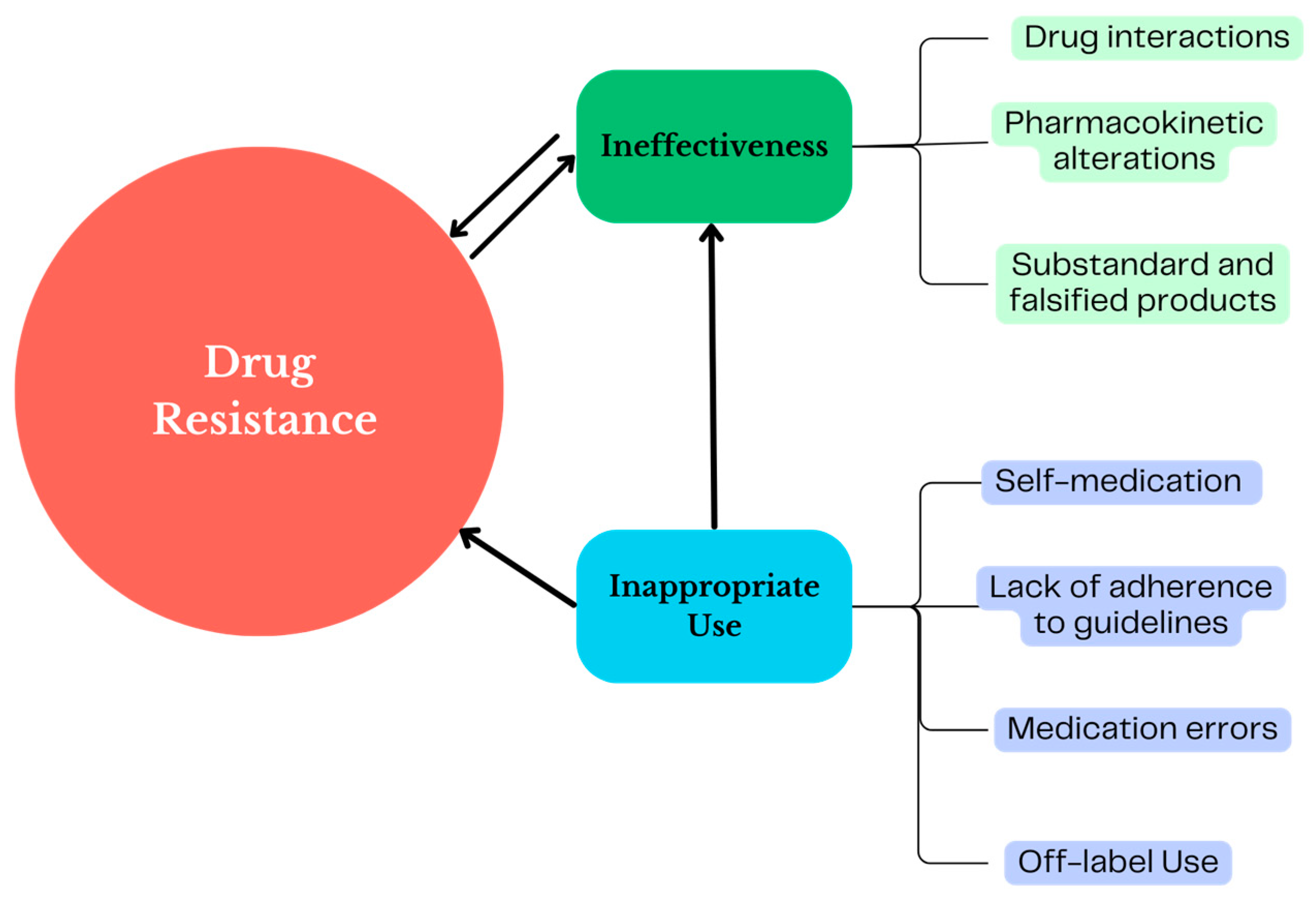 Antibiotics 13 00457 g002