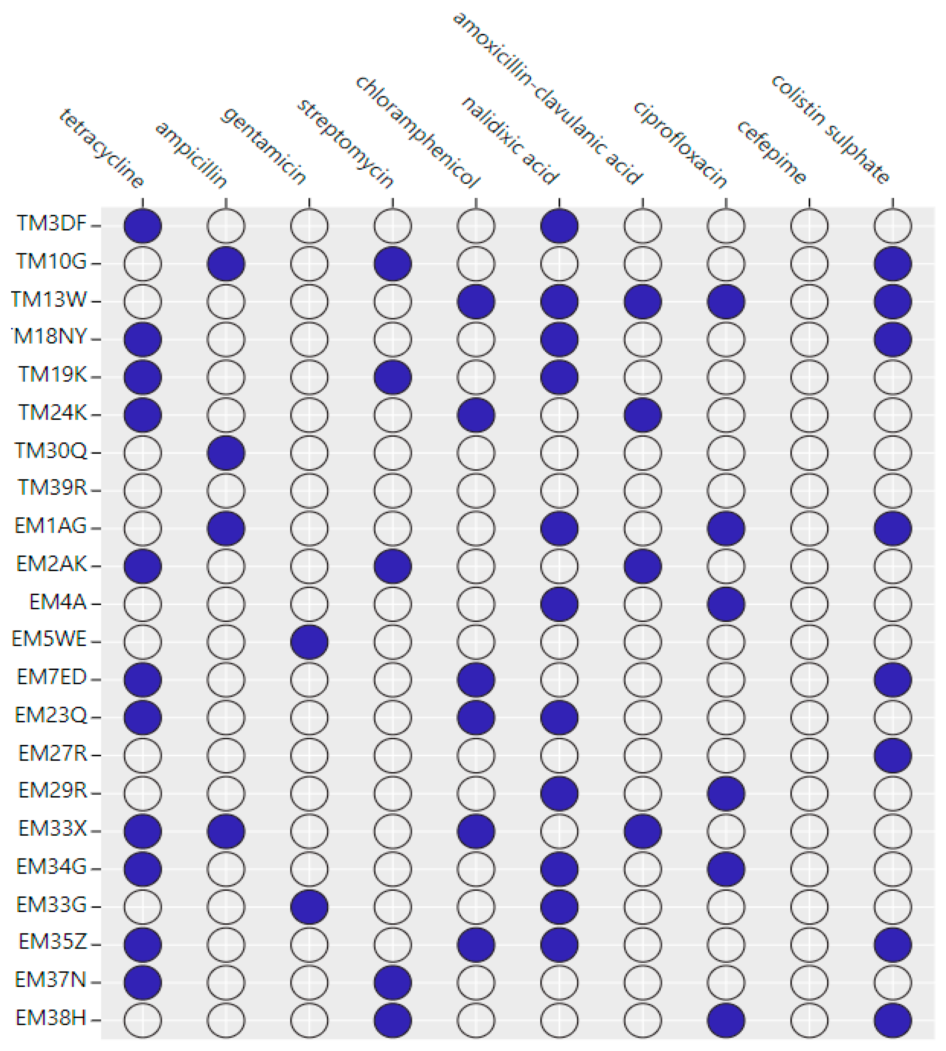 Antibiotics 13 00458 g003