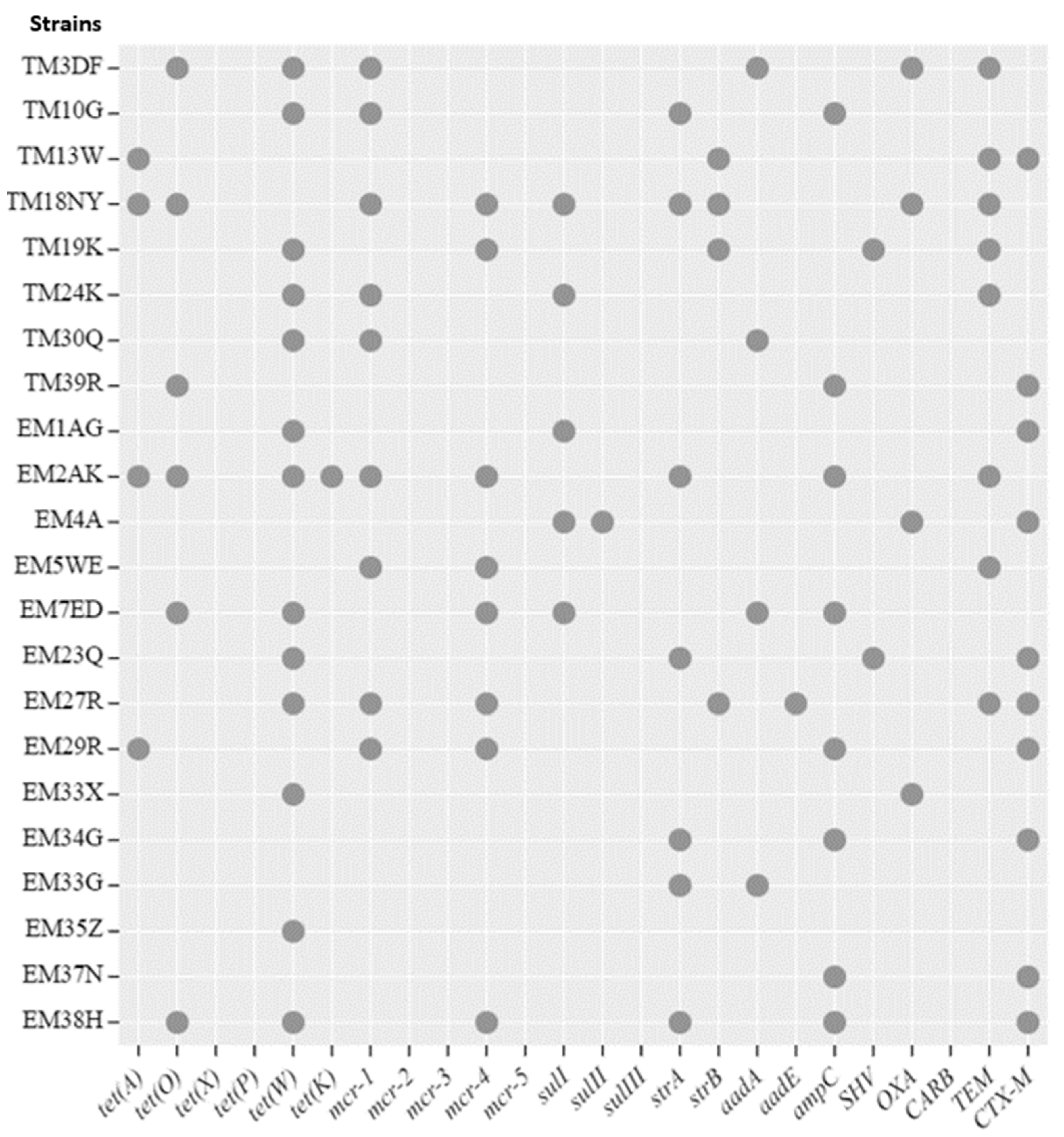 Antibiotics 13 00458 g004