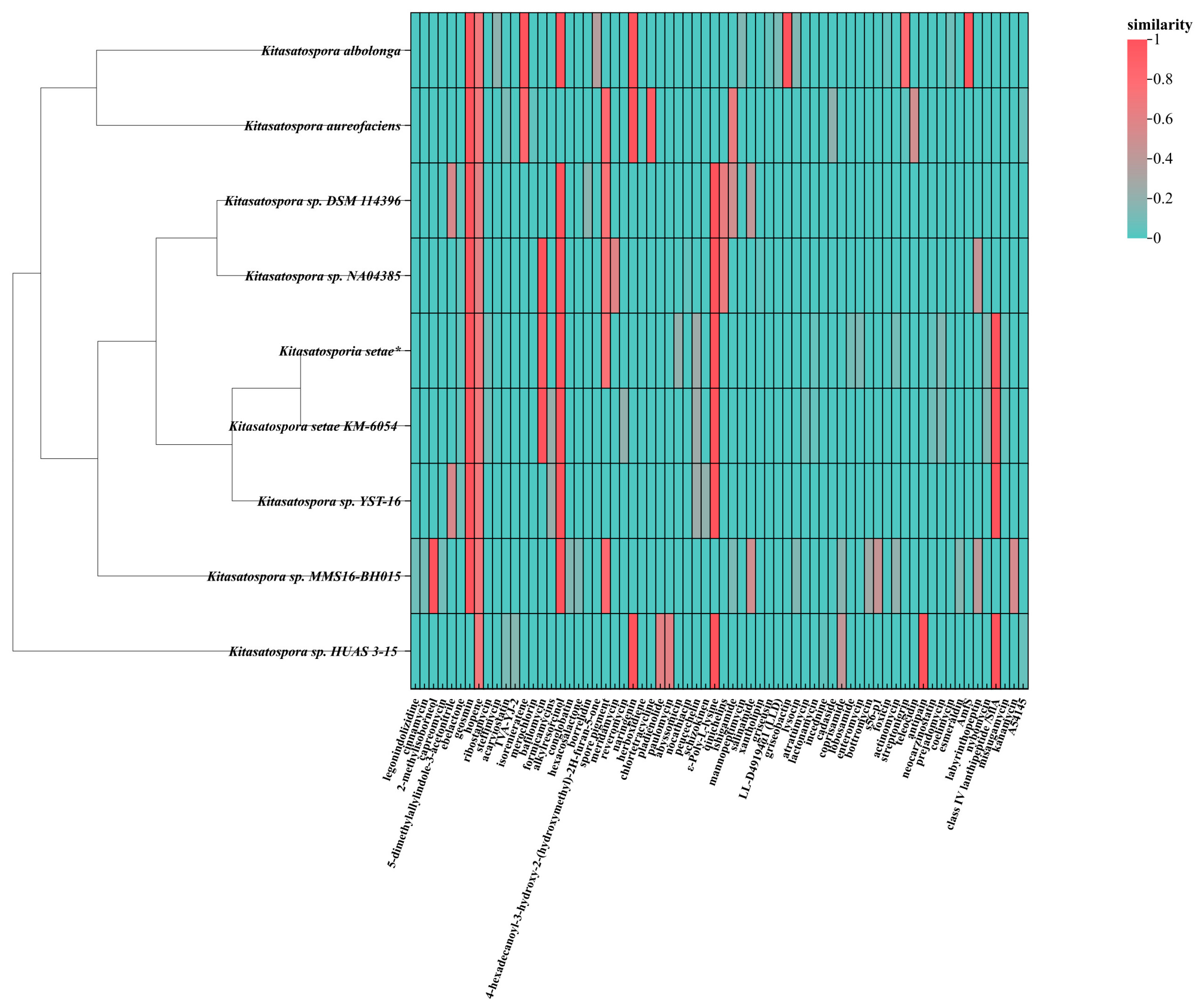 Antibiotics 13 00459 g008