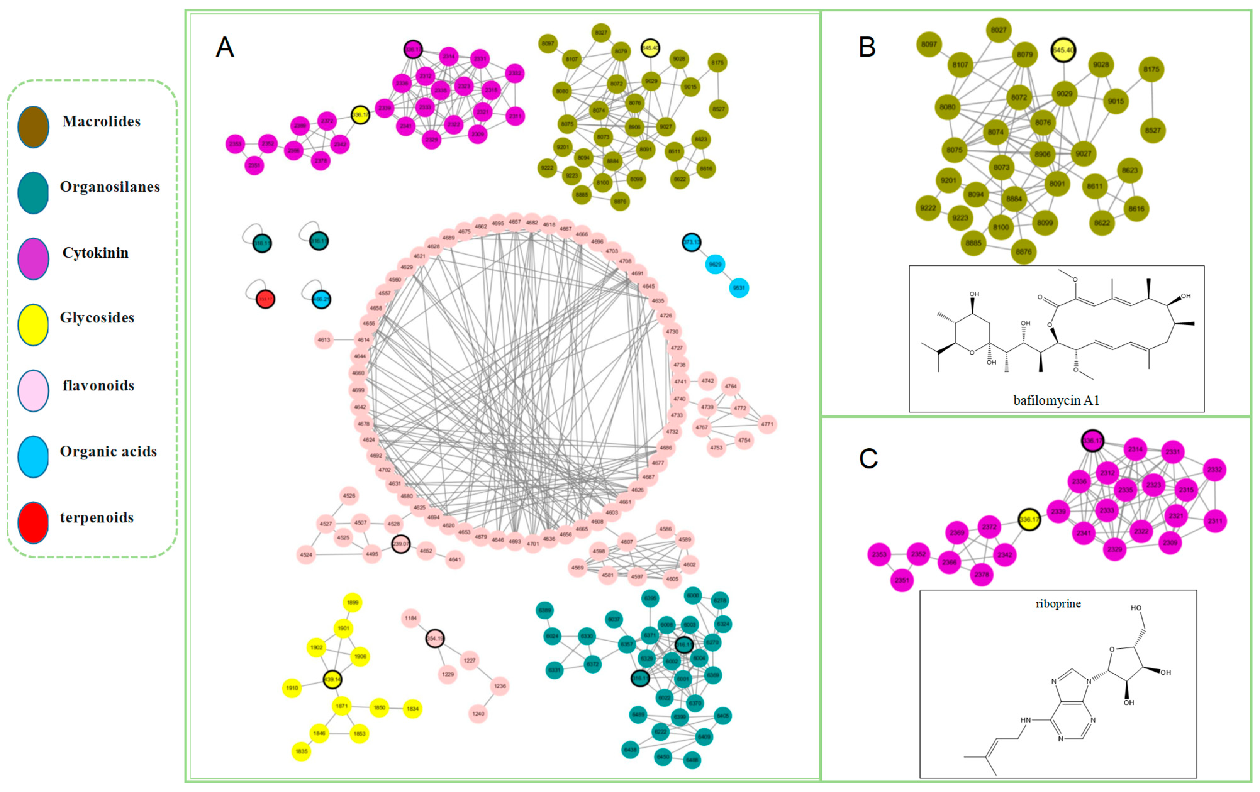 Antibiotics 13 00459 g009