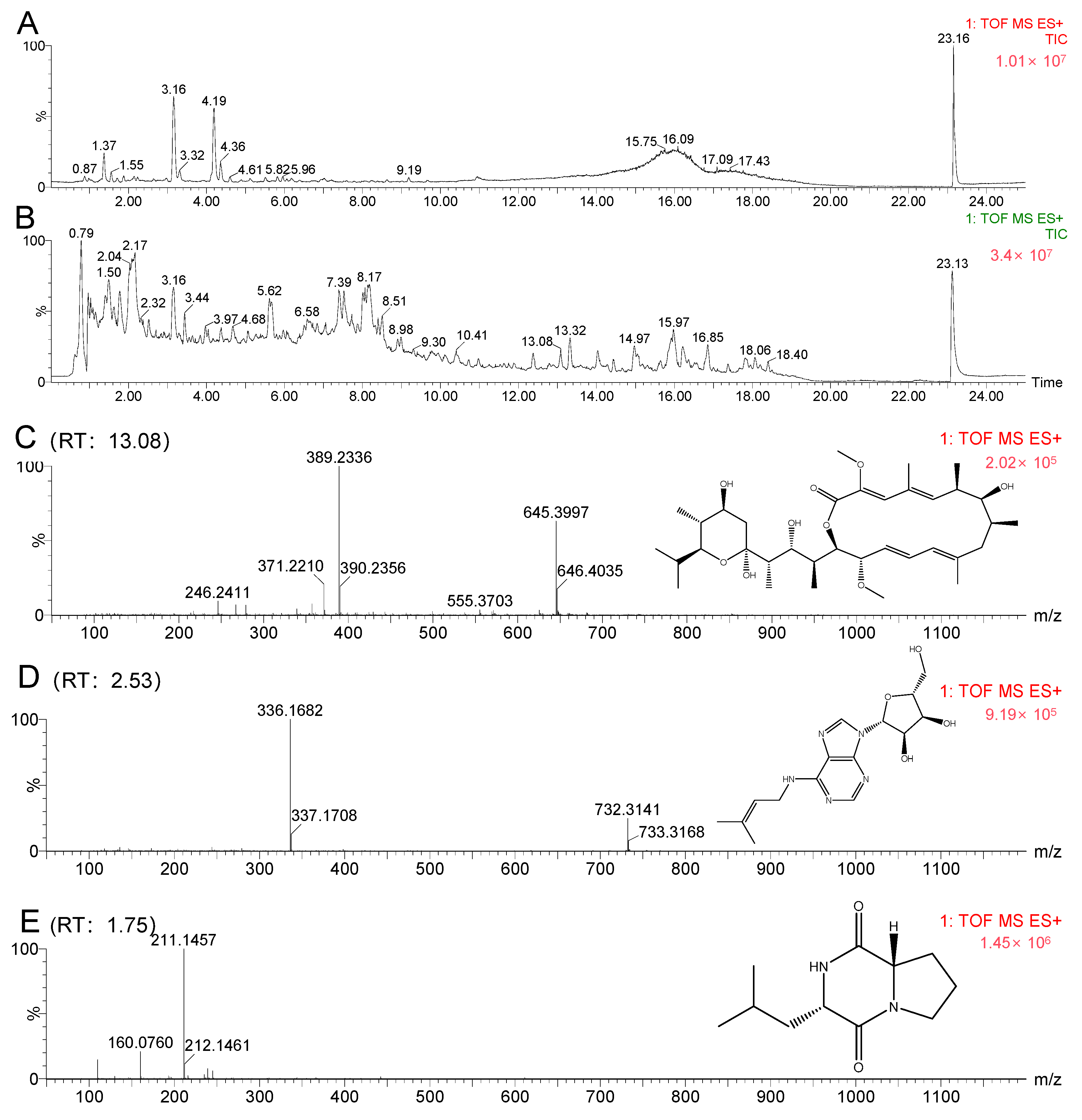 Antibiotics 13 00459 g010