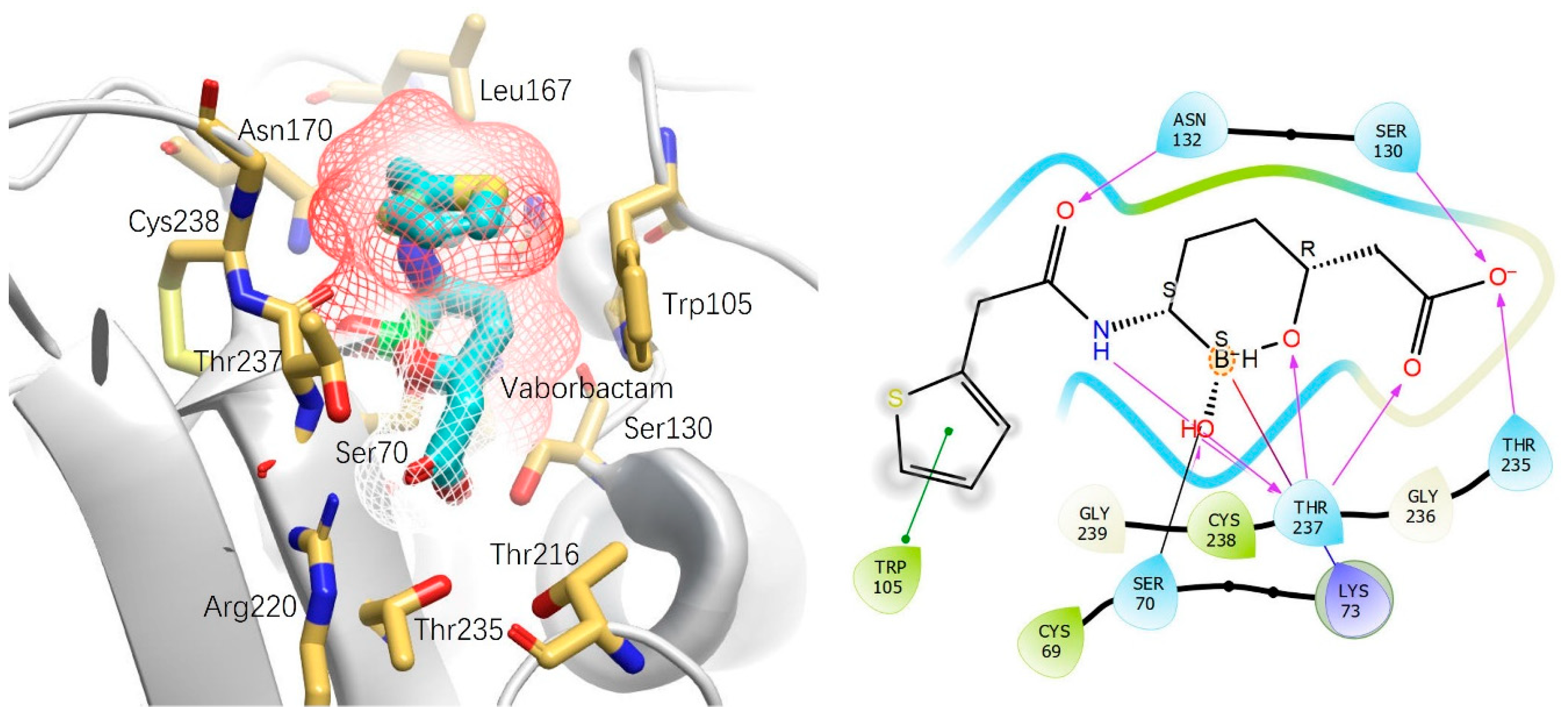 Antibiotics 13 00472 g004