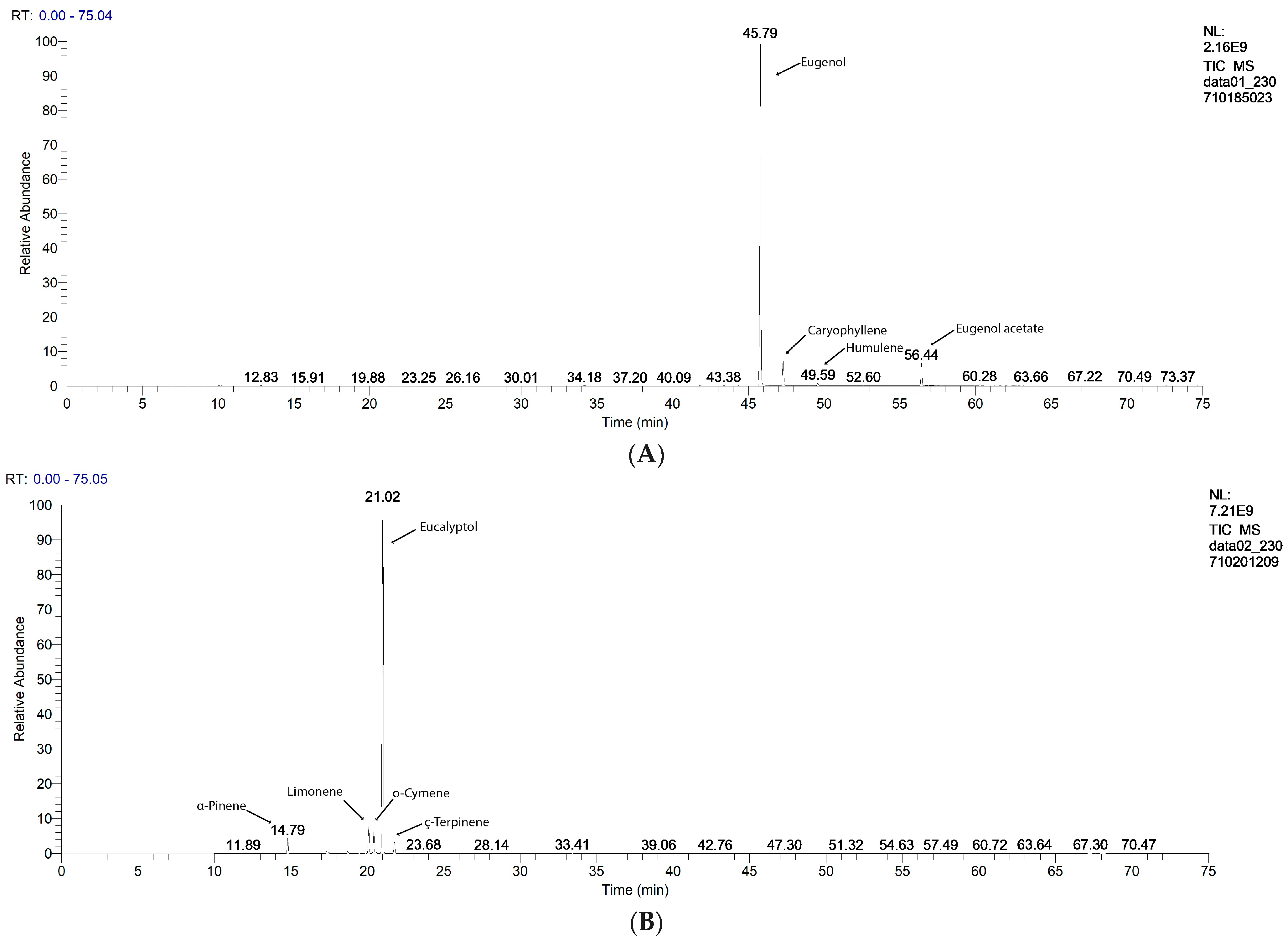 Antibiotics 13 00478 g001a