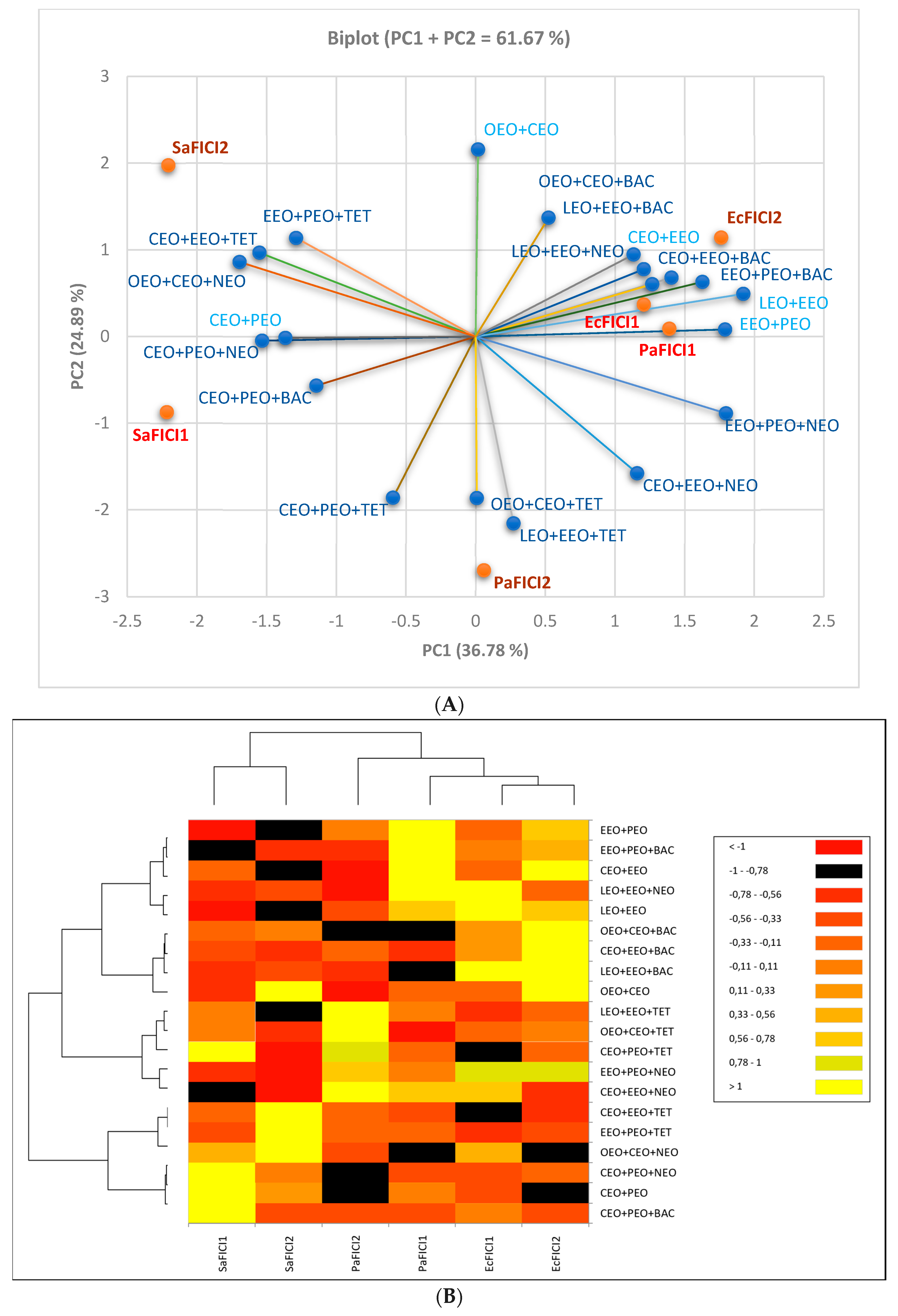 Antibiotics 13 00478 g007