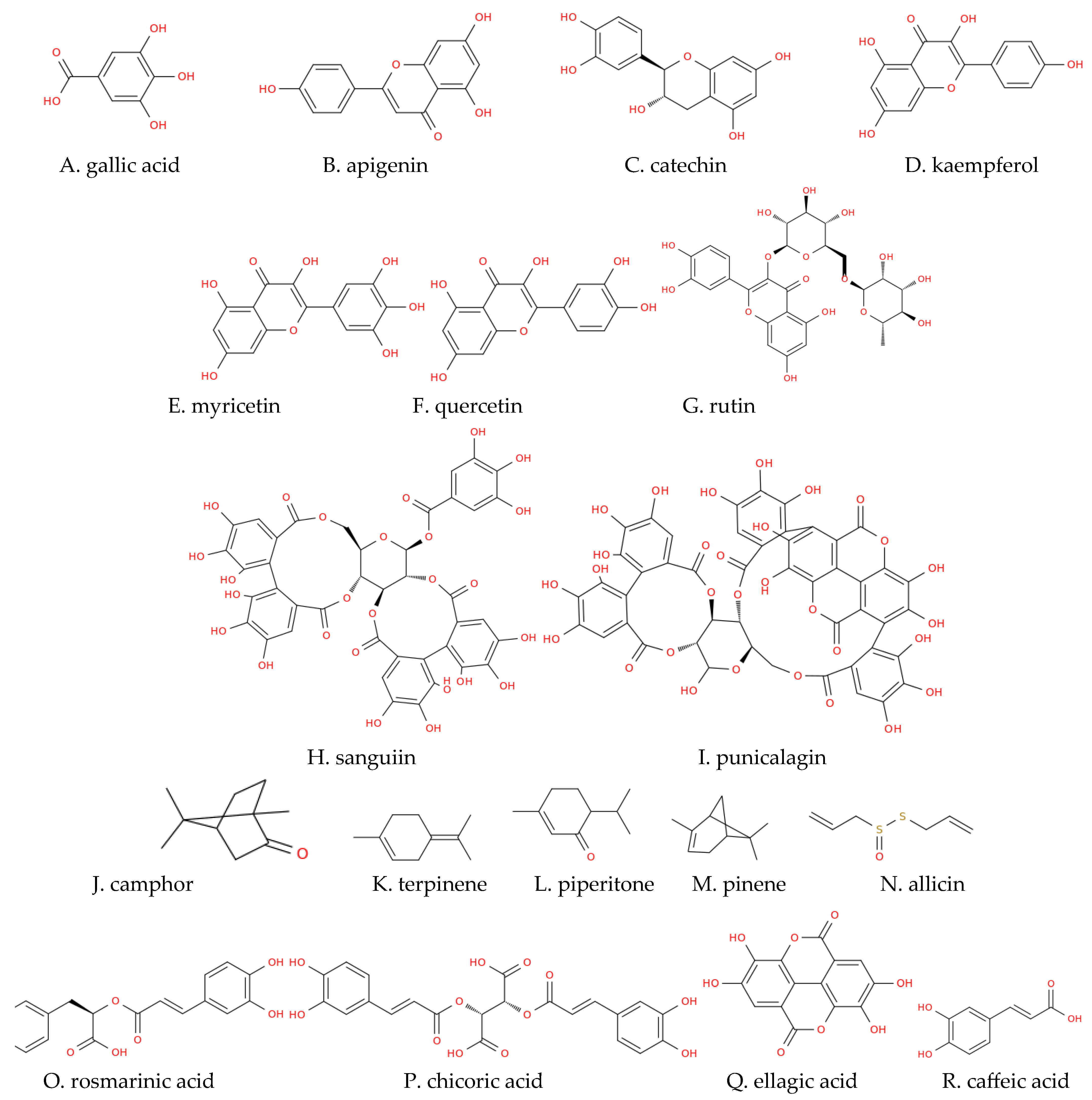 Antibiotics 13 00487 sch001a