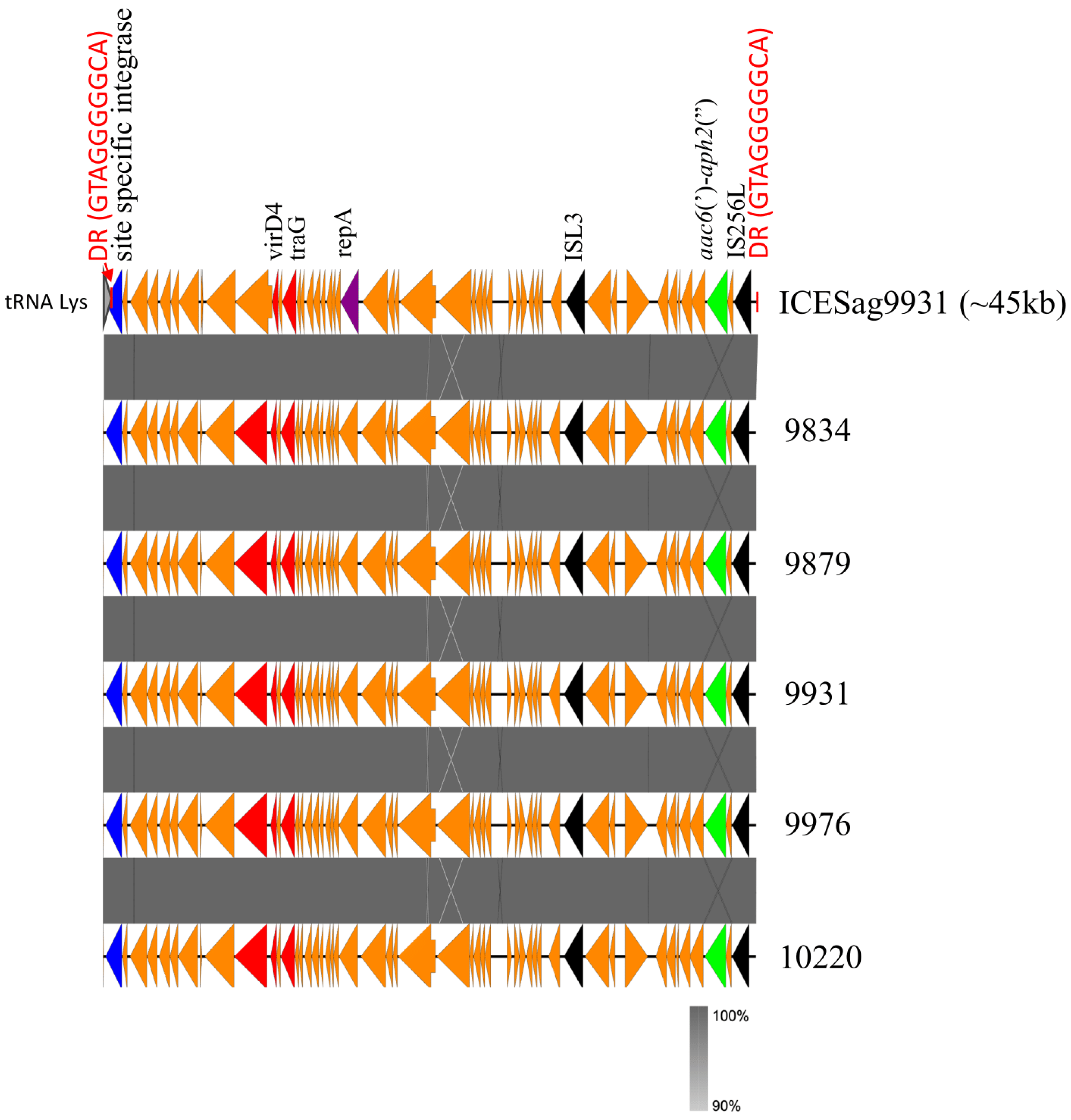 Antibiotics 13 00491 g003