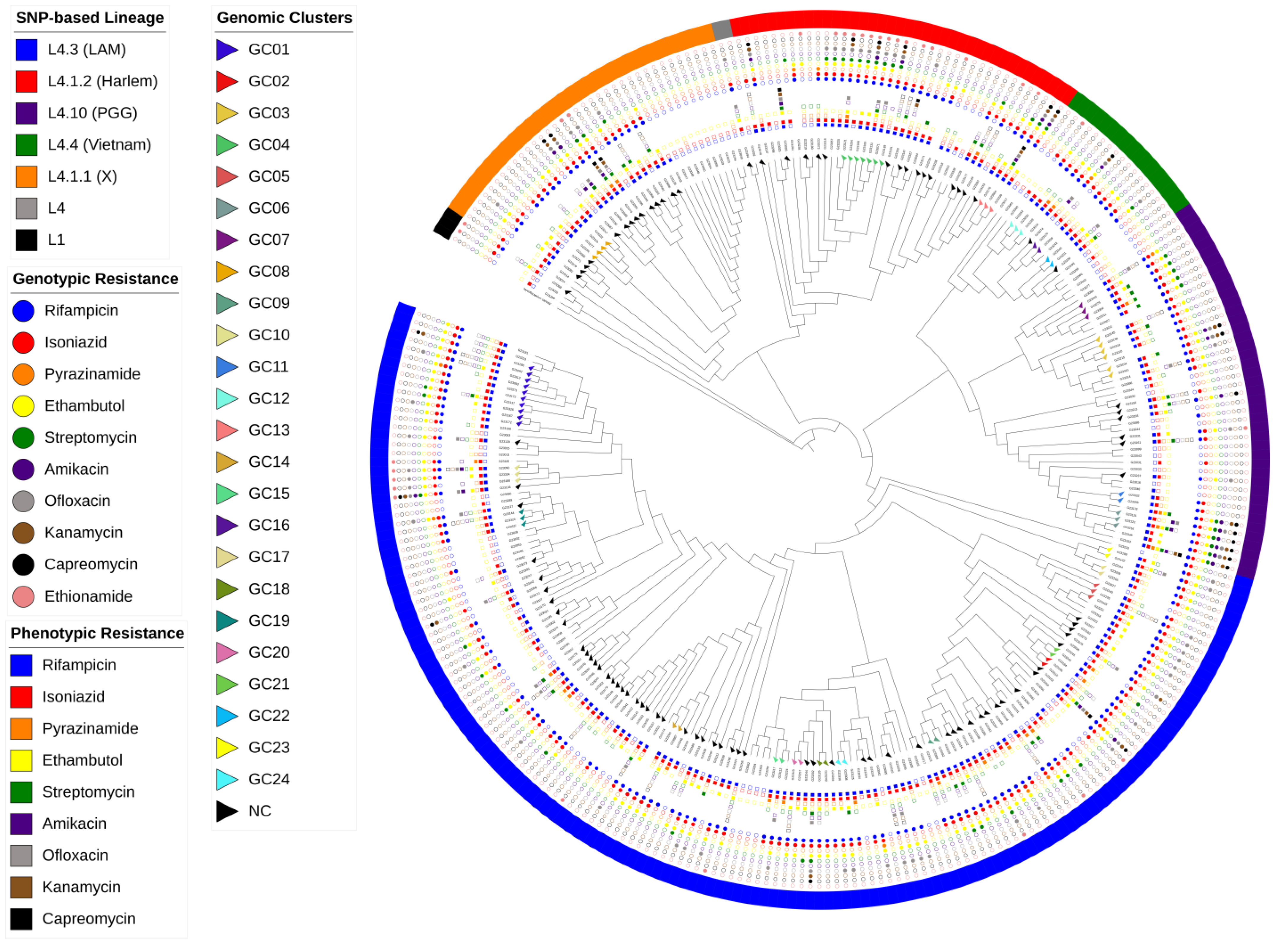 Antibiotics 13 00496 g002