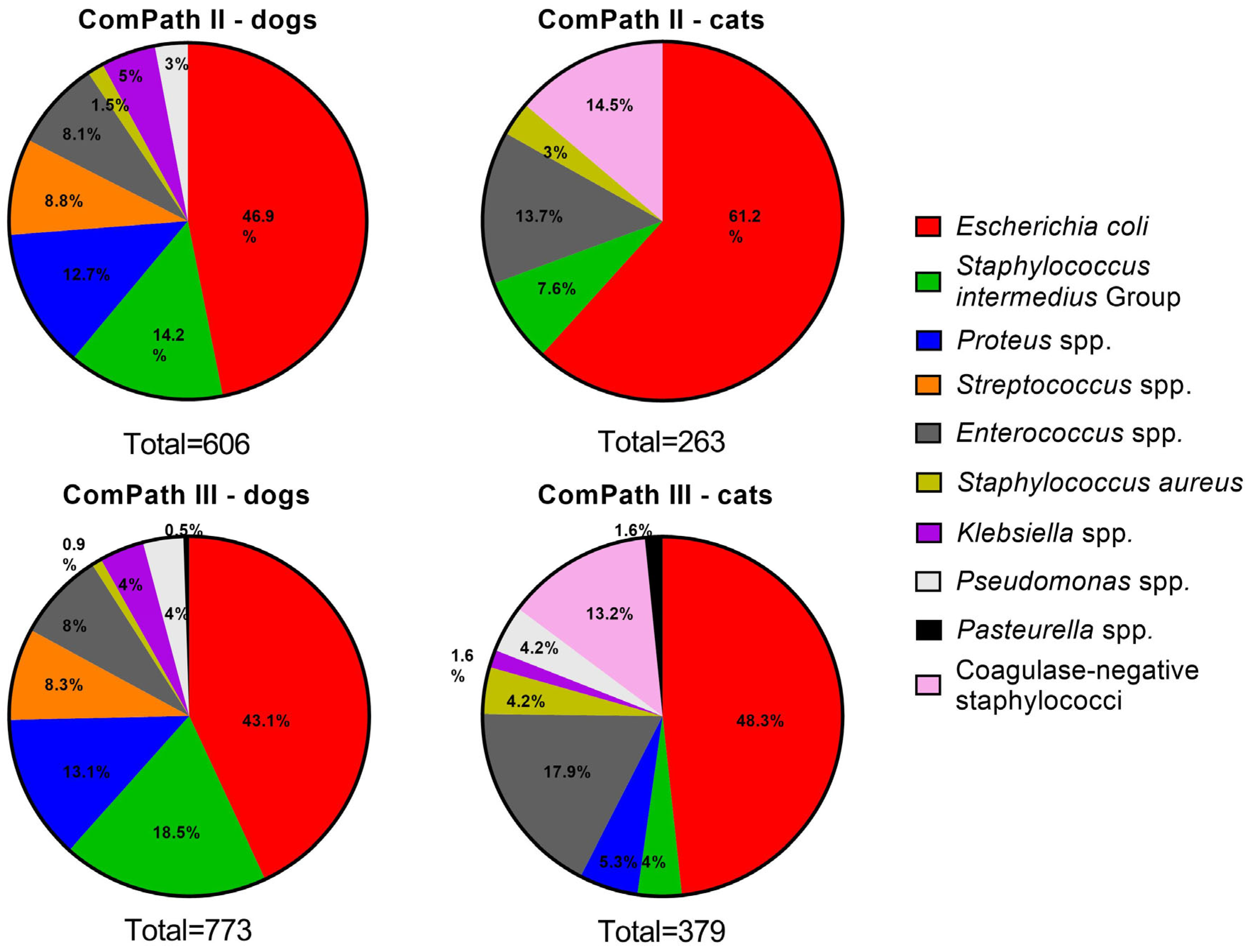 Antibiotics 13 00500 g002