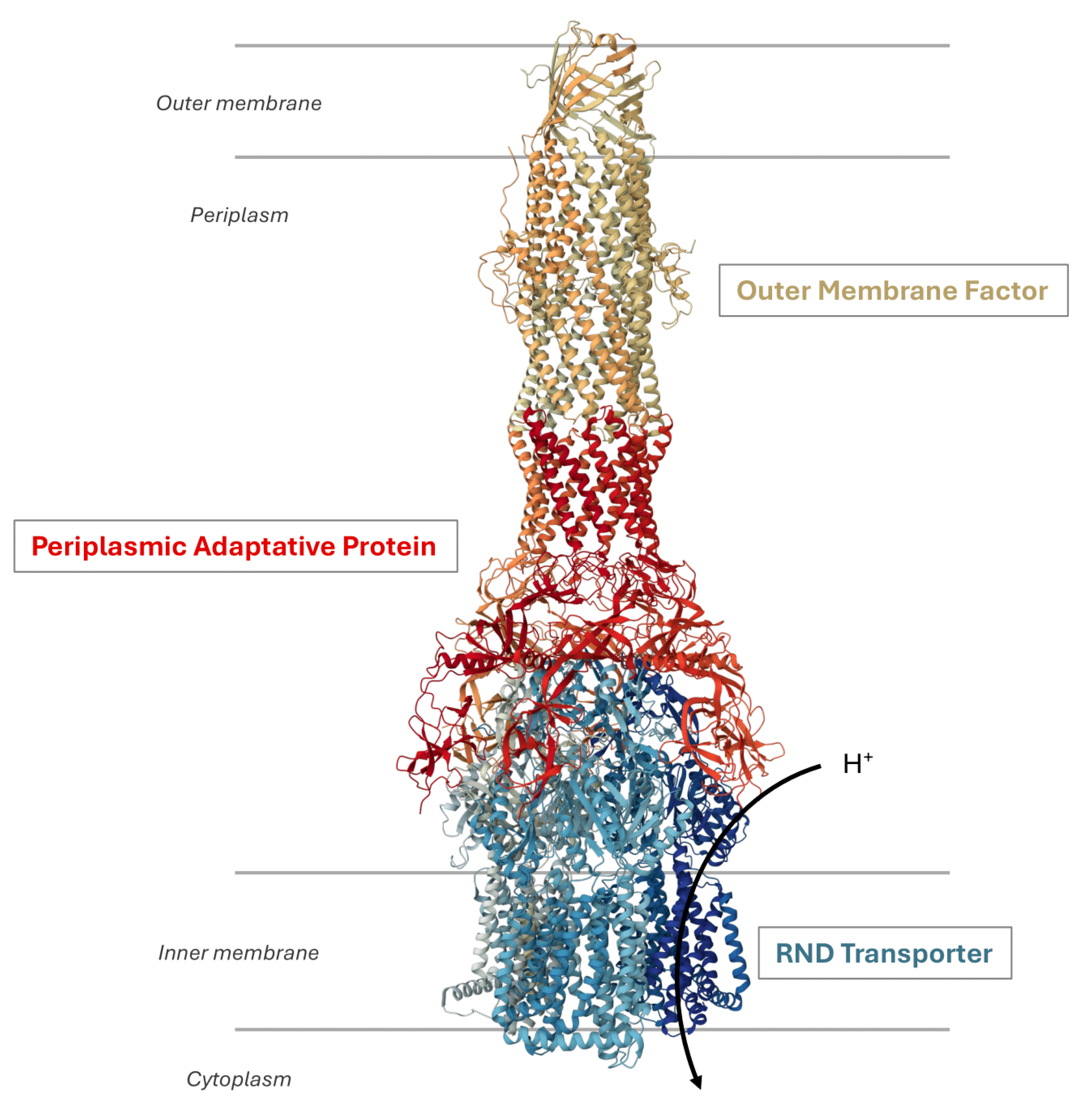 Antibiotics 13 00501 g001