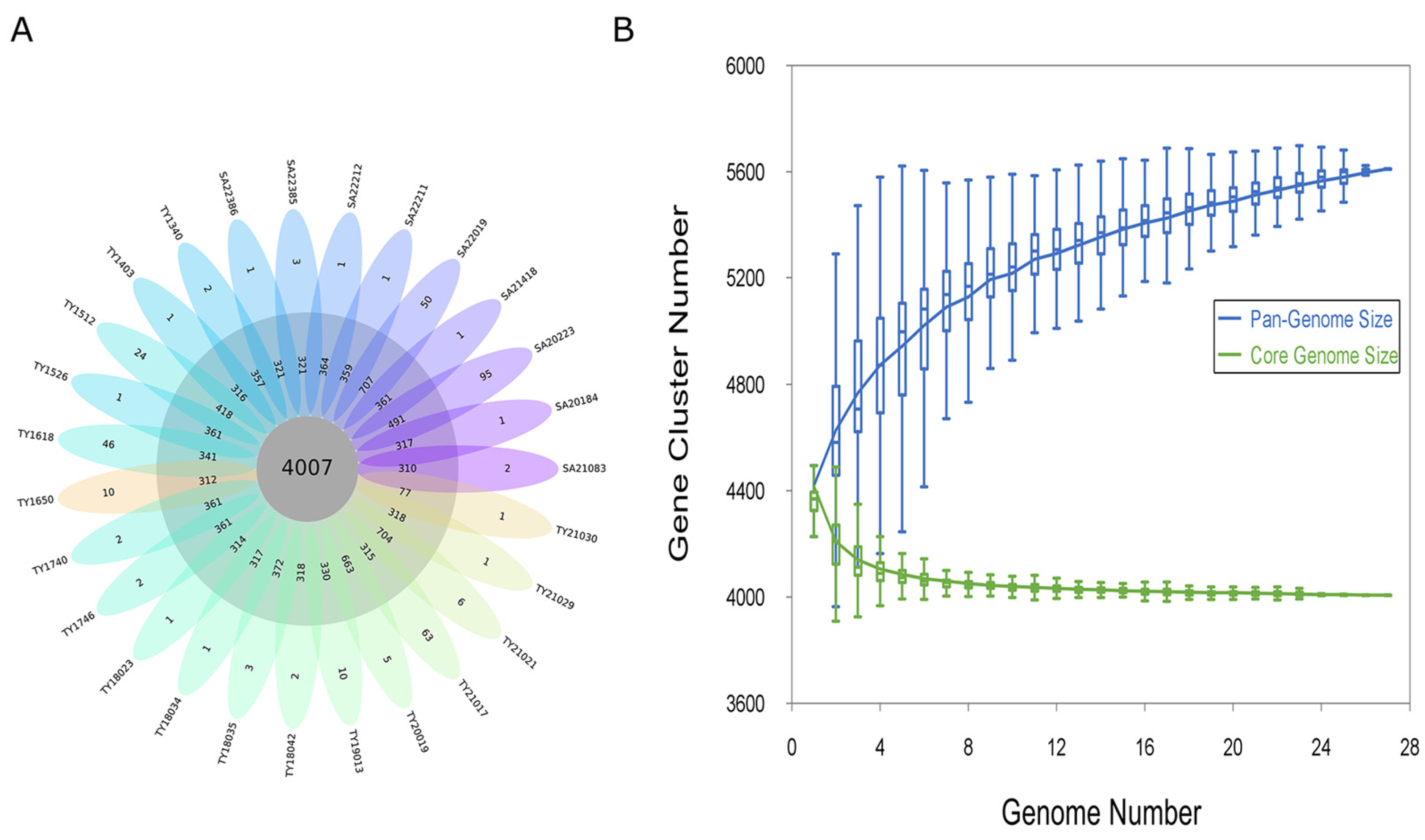 Antibiotics 13 00519 g001