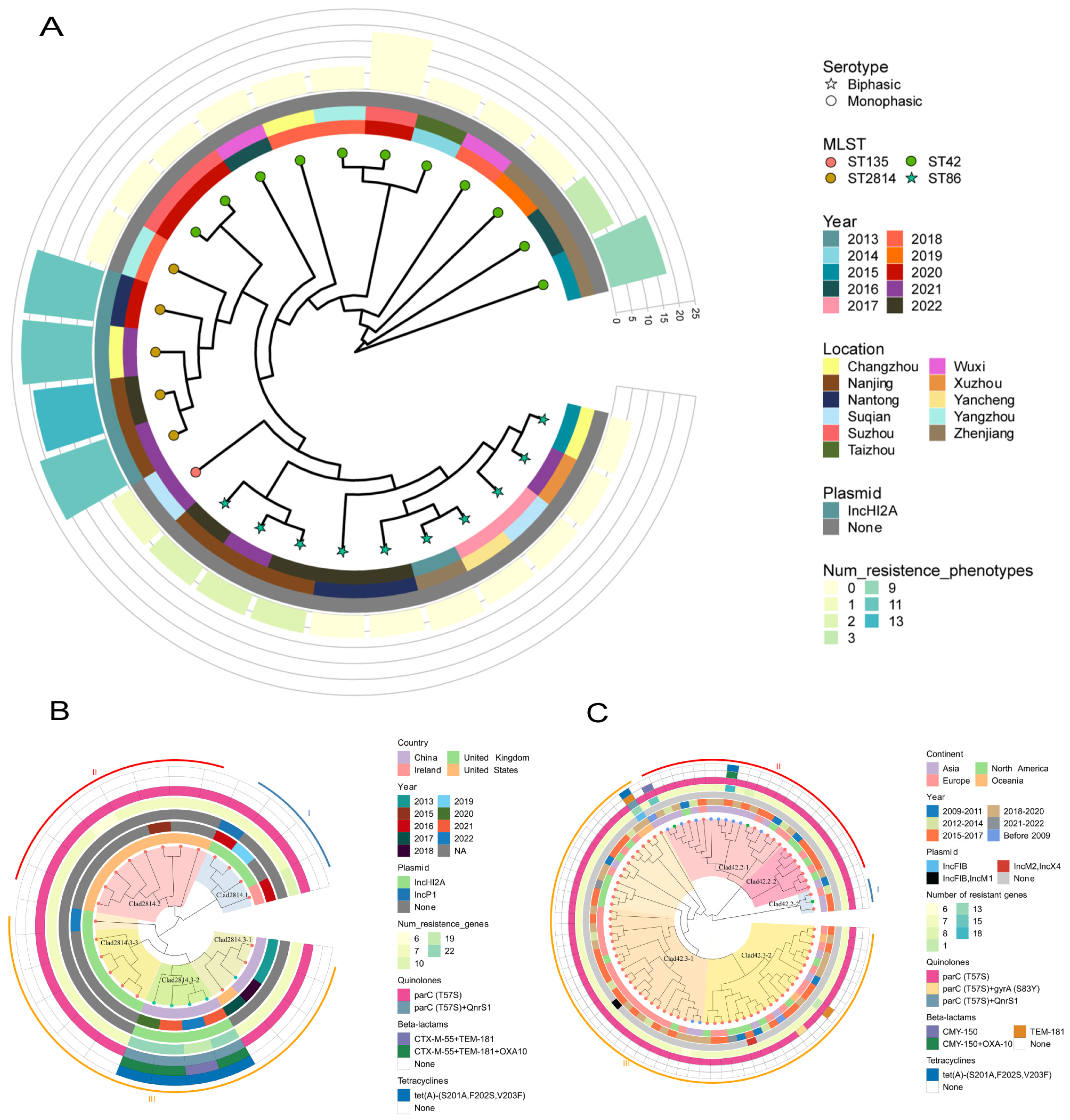 Antibiotics 13 00519 g002