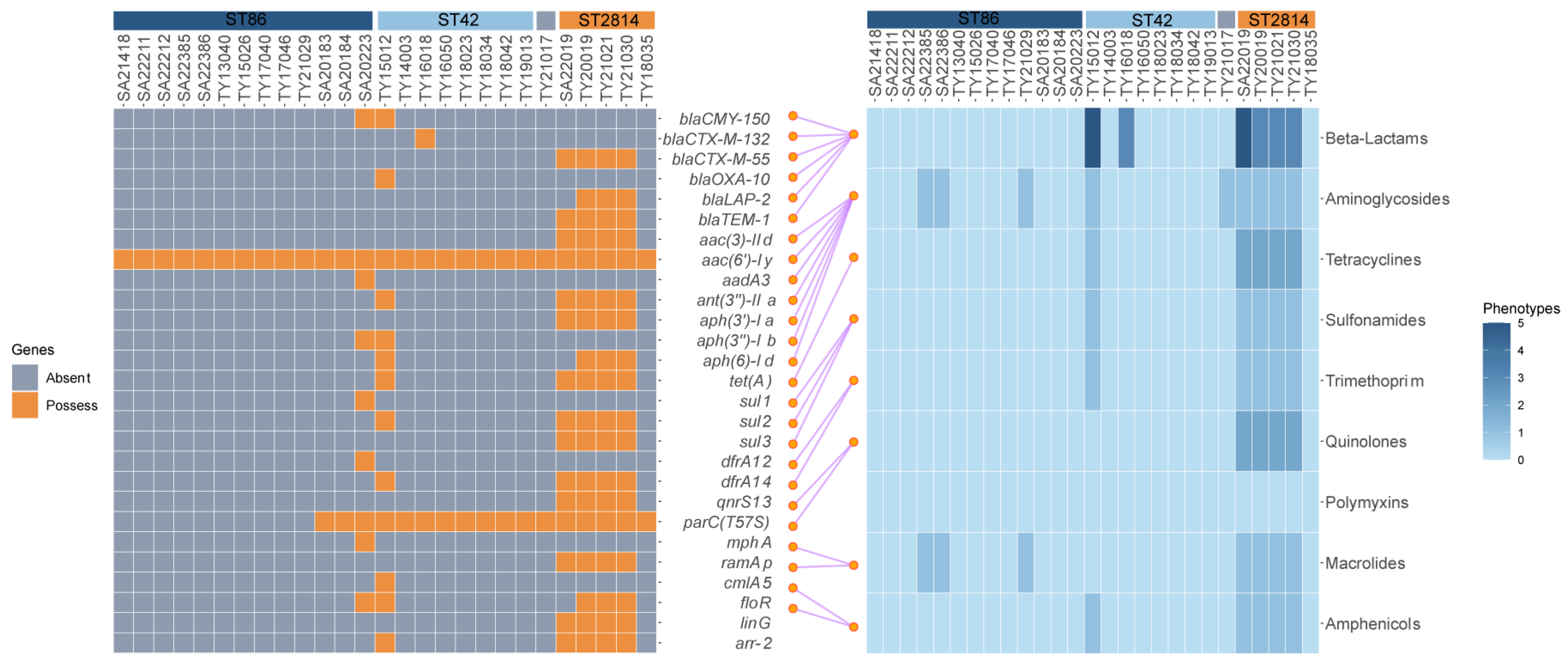 Antibiotics 13 00519 g003