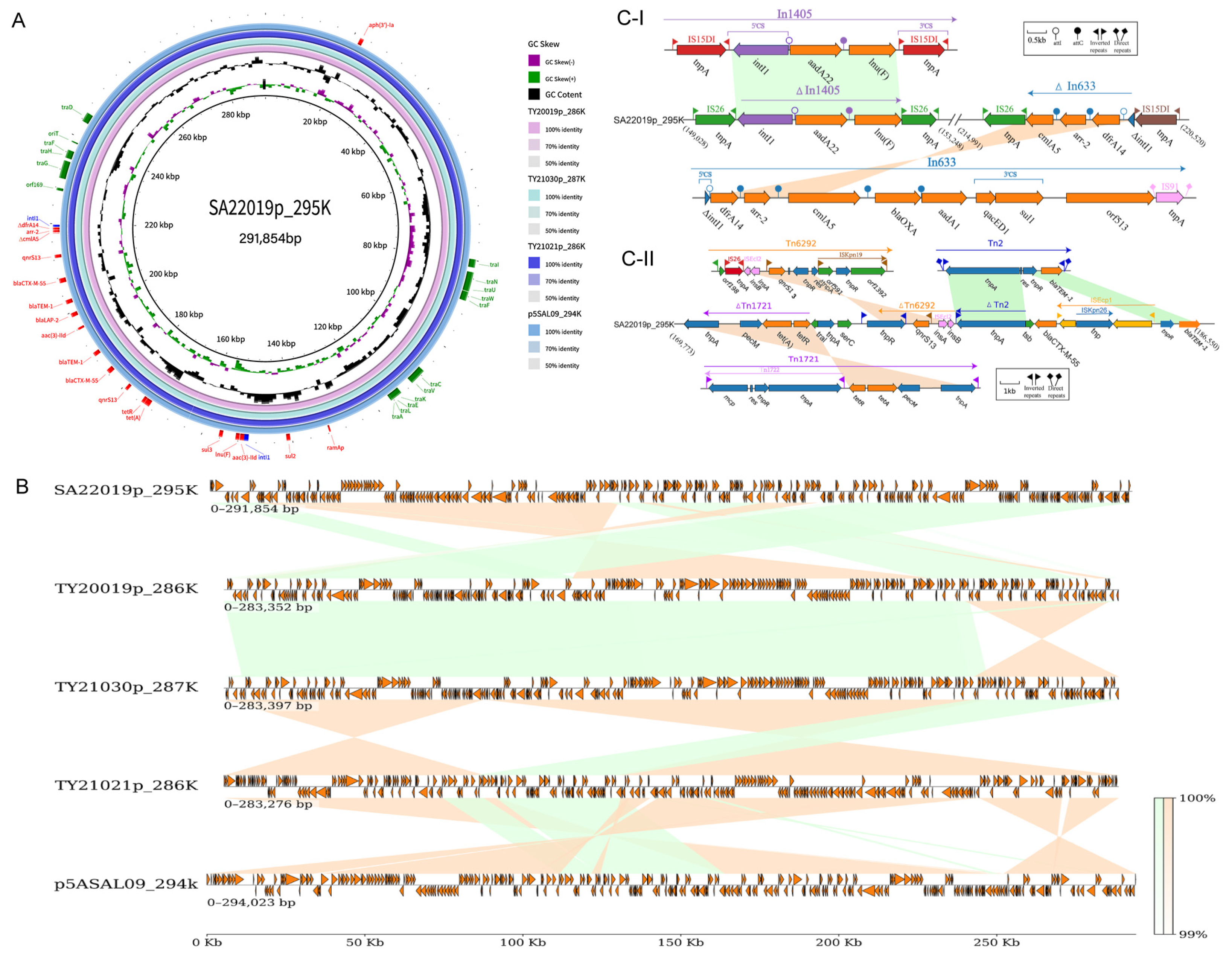 Antibiotics 13 00519 g004
