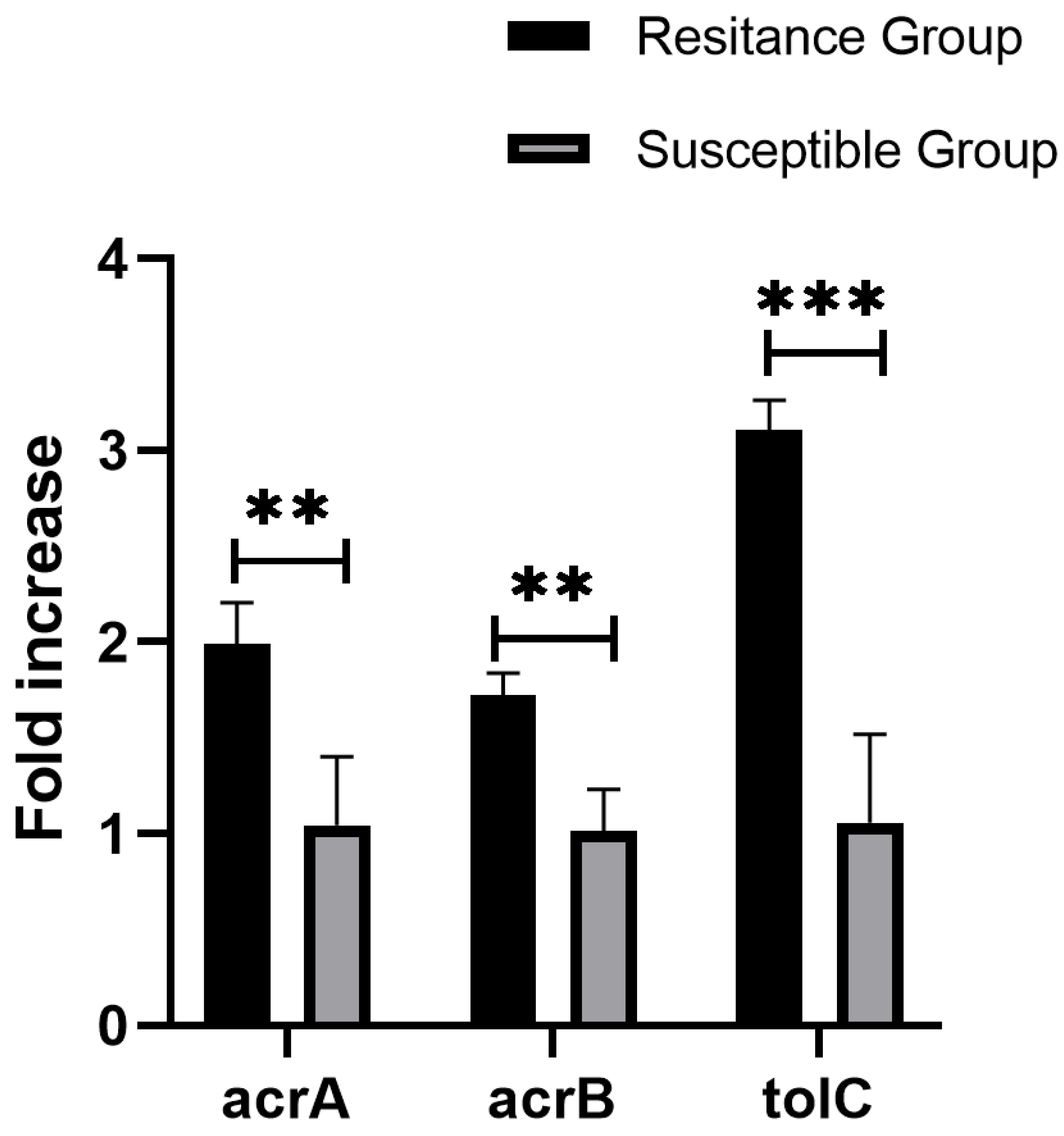 Antibiotics 13 00519 g005