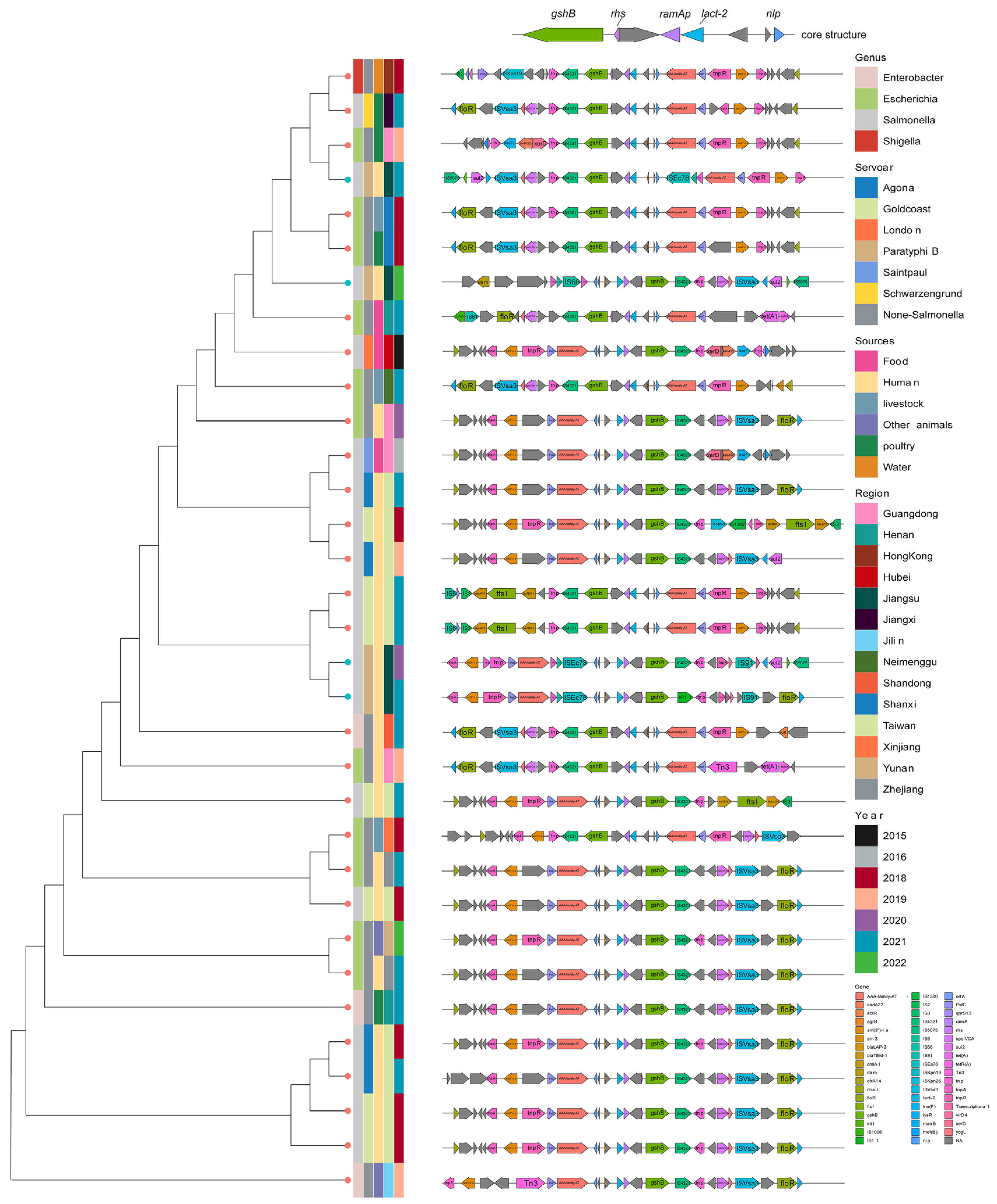 Antibiotics 13 00519 g006