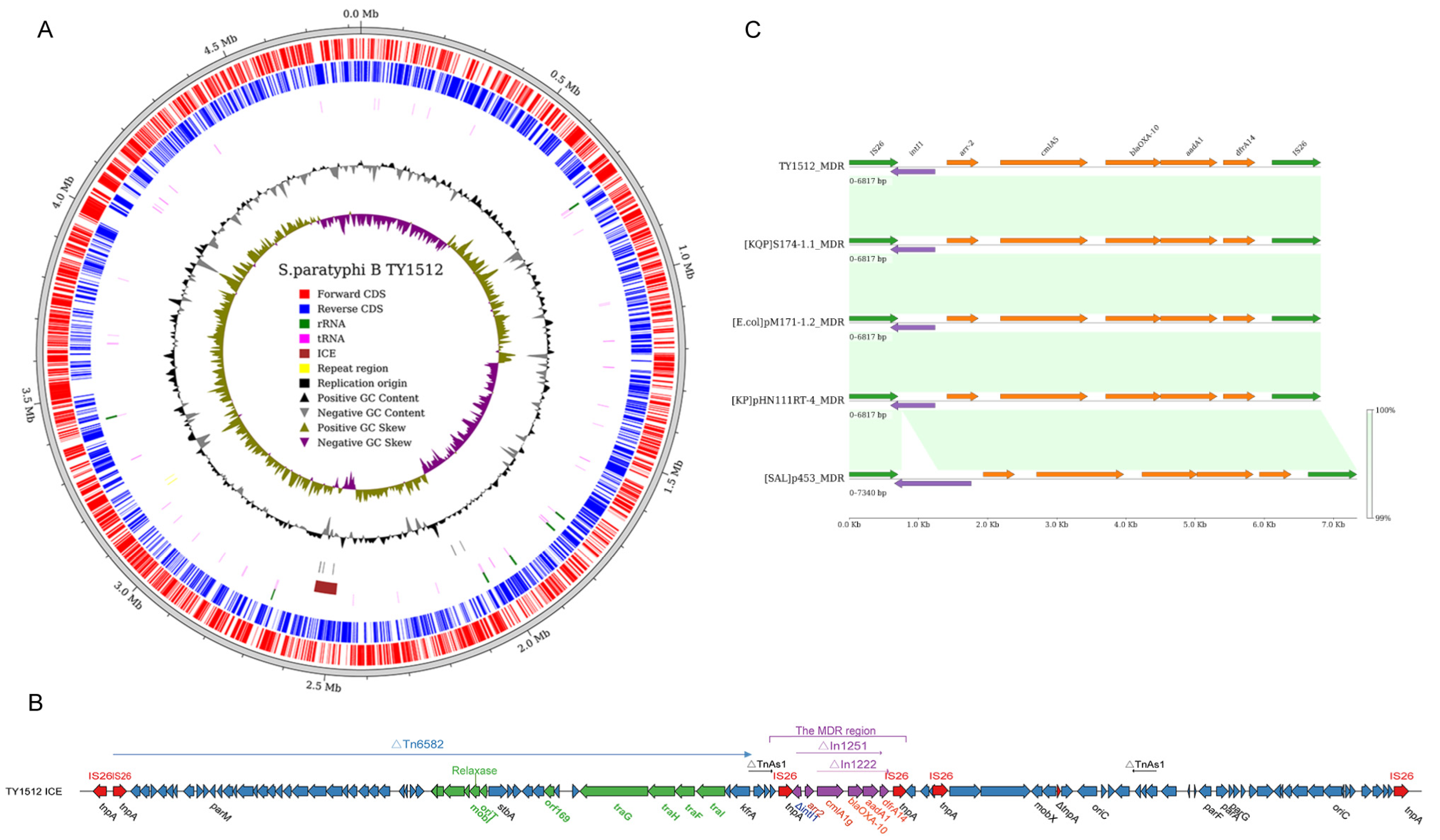 Antibiotics 13 00519 g007