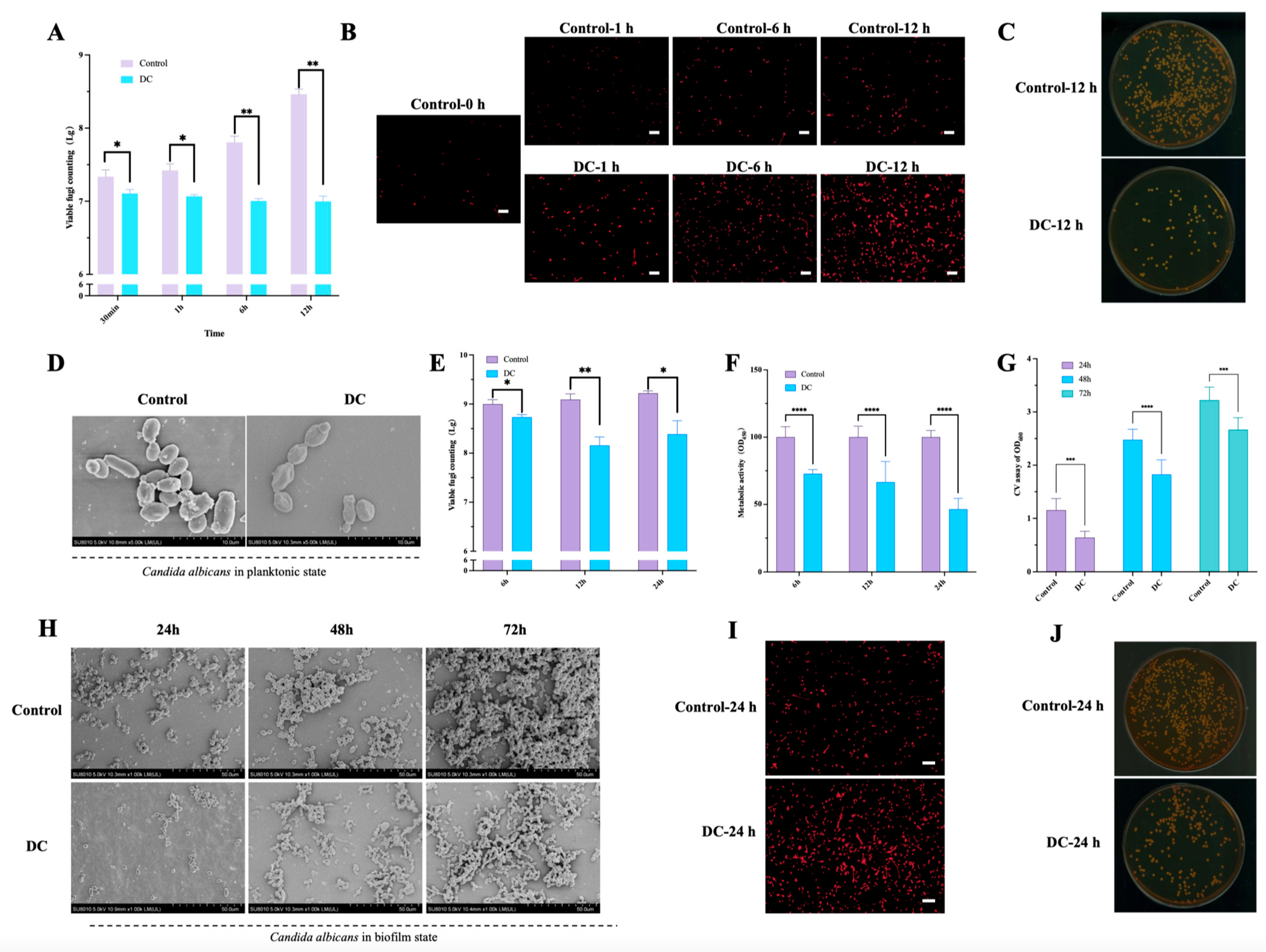 Antibiotics 13 00521 g002