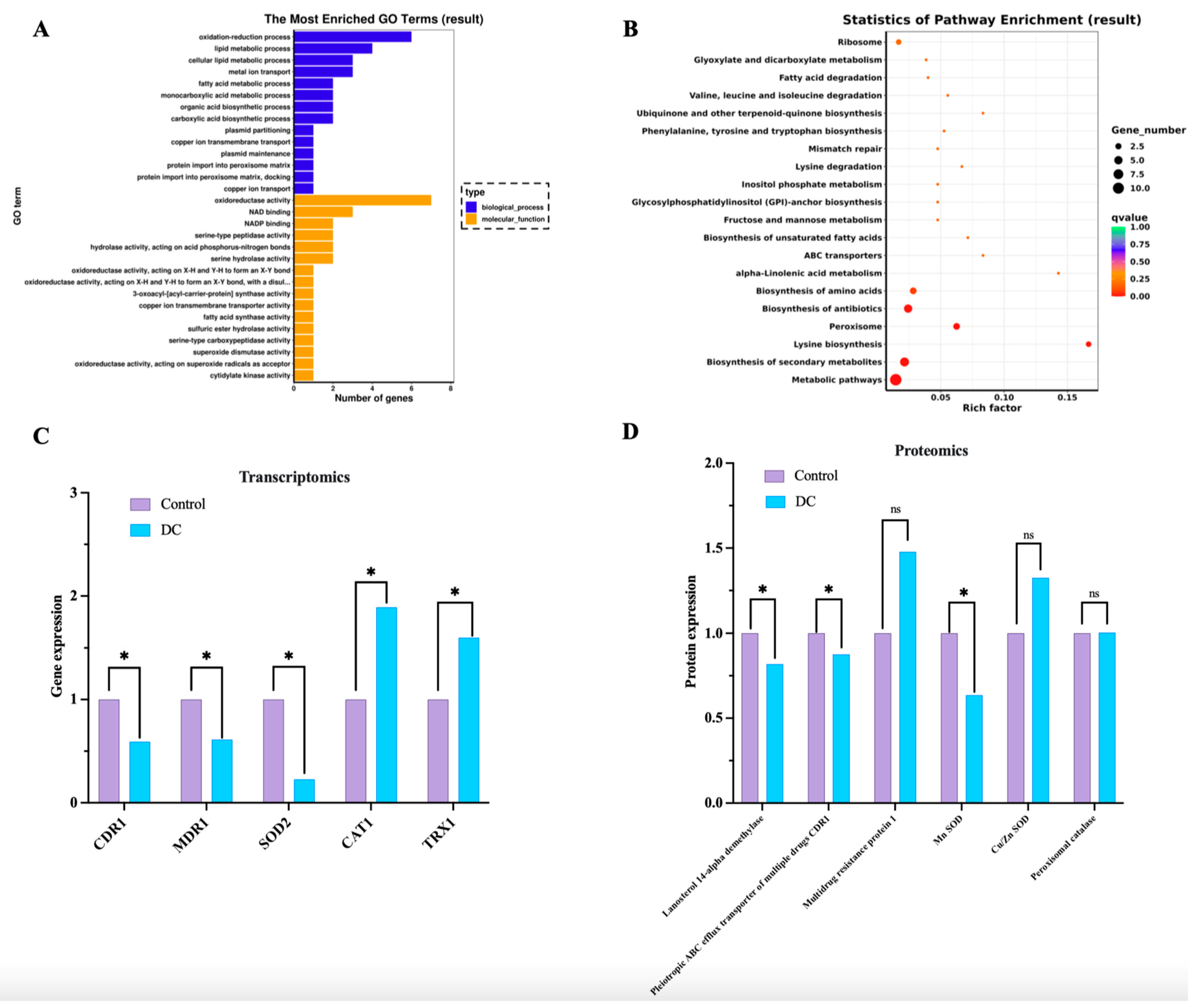 Antibiotics 13 00521 g003