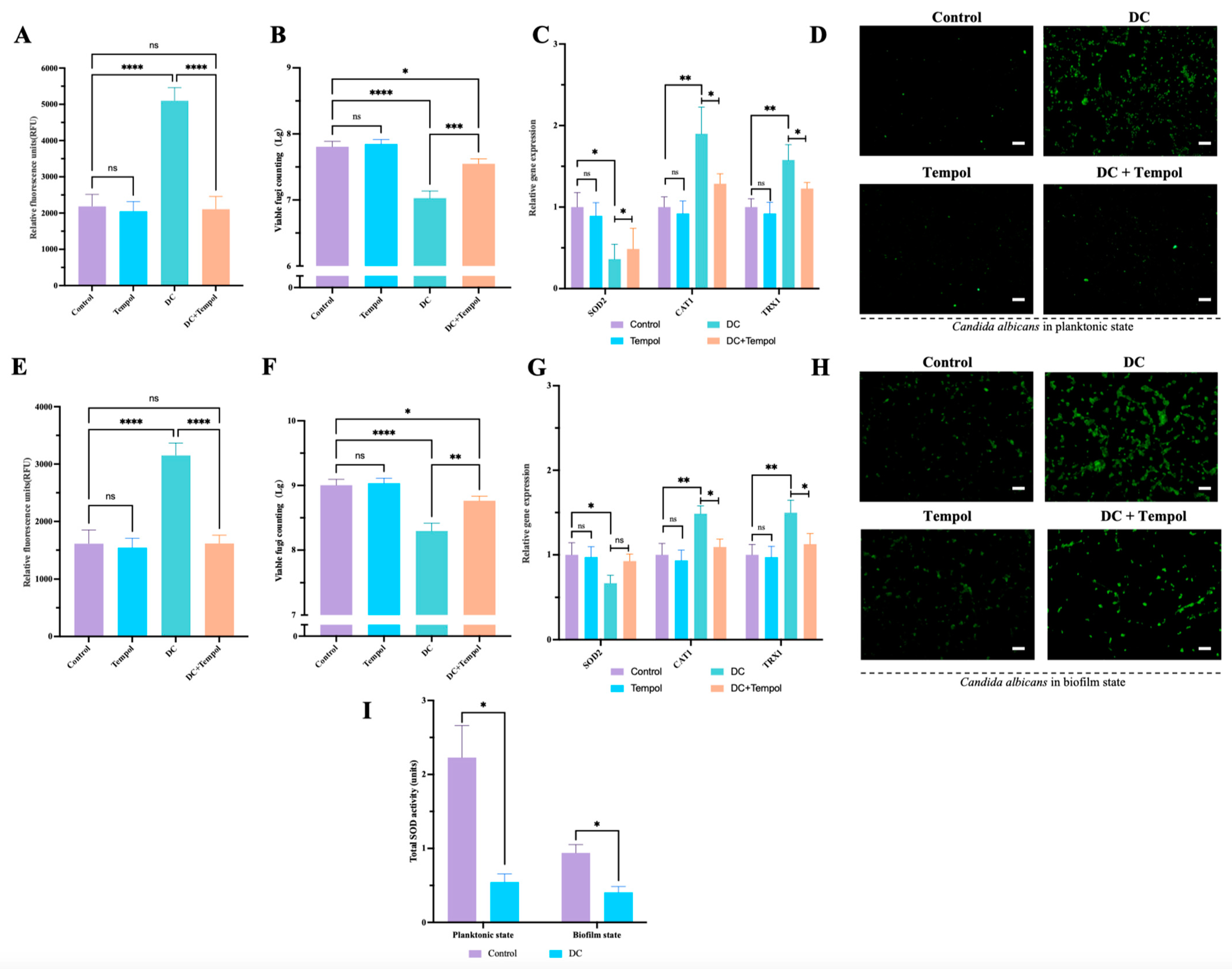 Antibiotics 13 00521 g004
