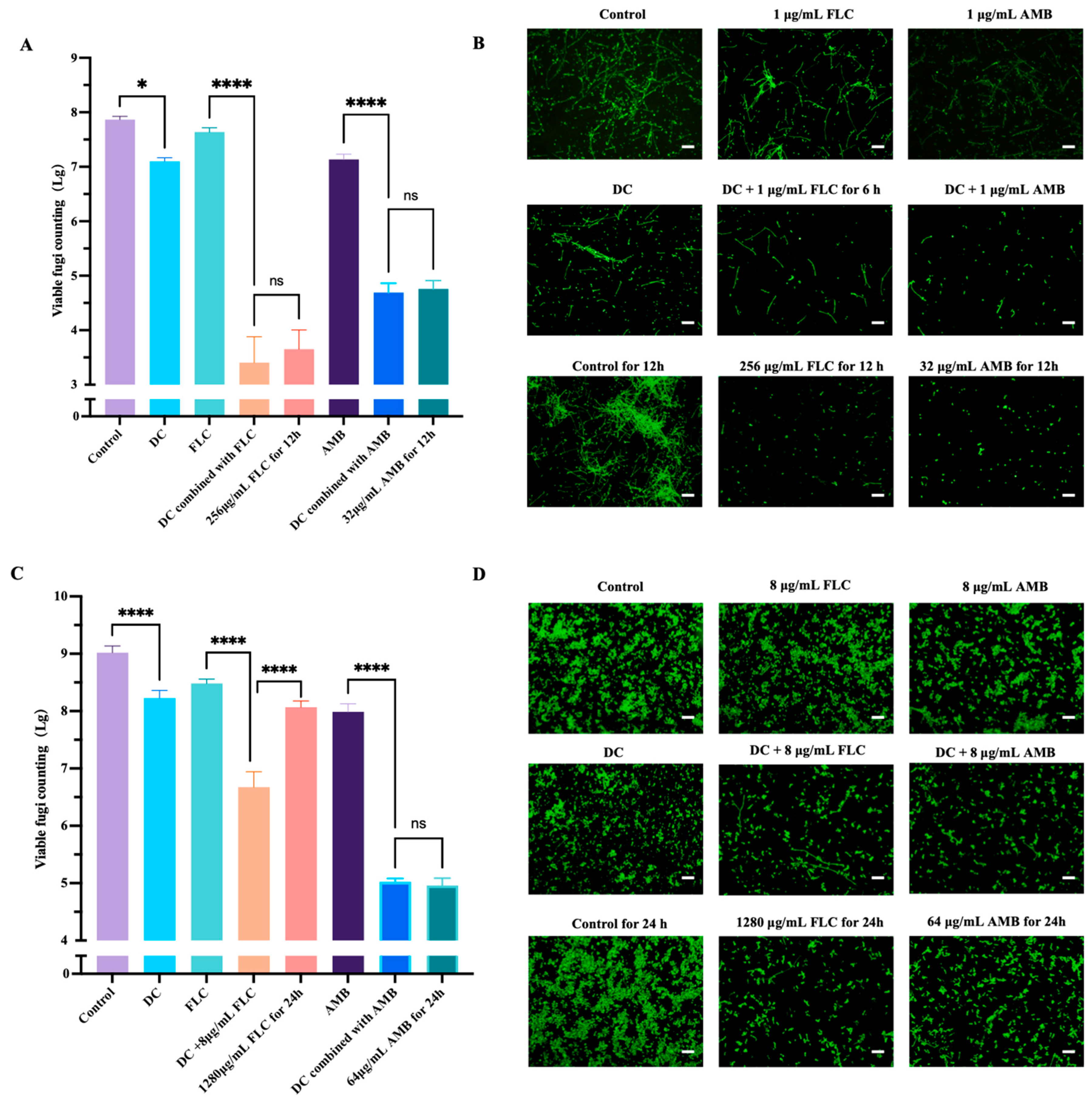 Antibiotics 13 00521 g005