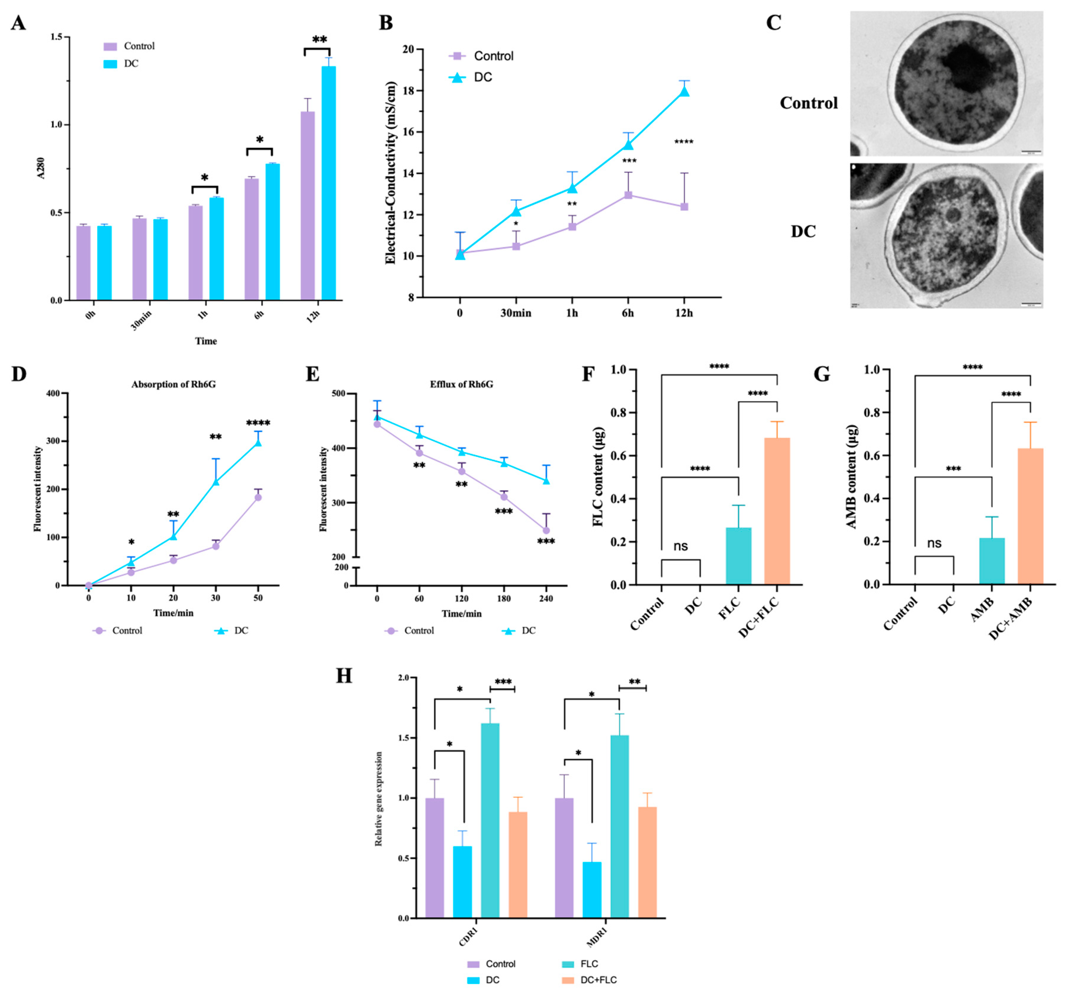Antibiotics 13 00521 g006