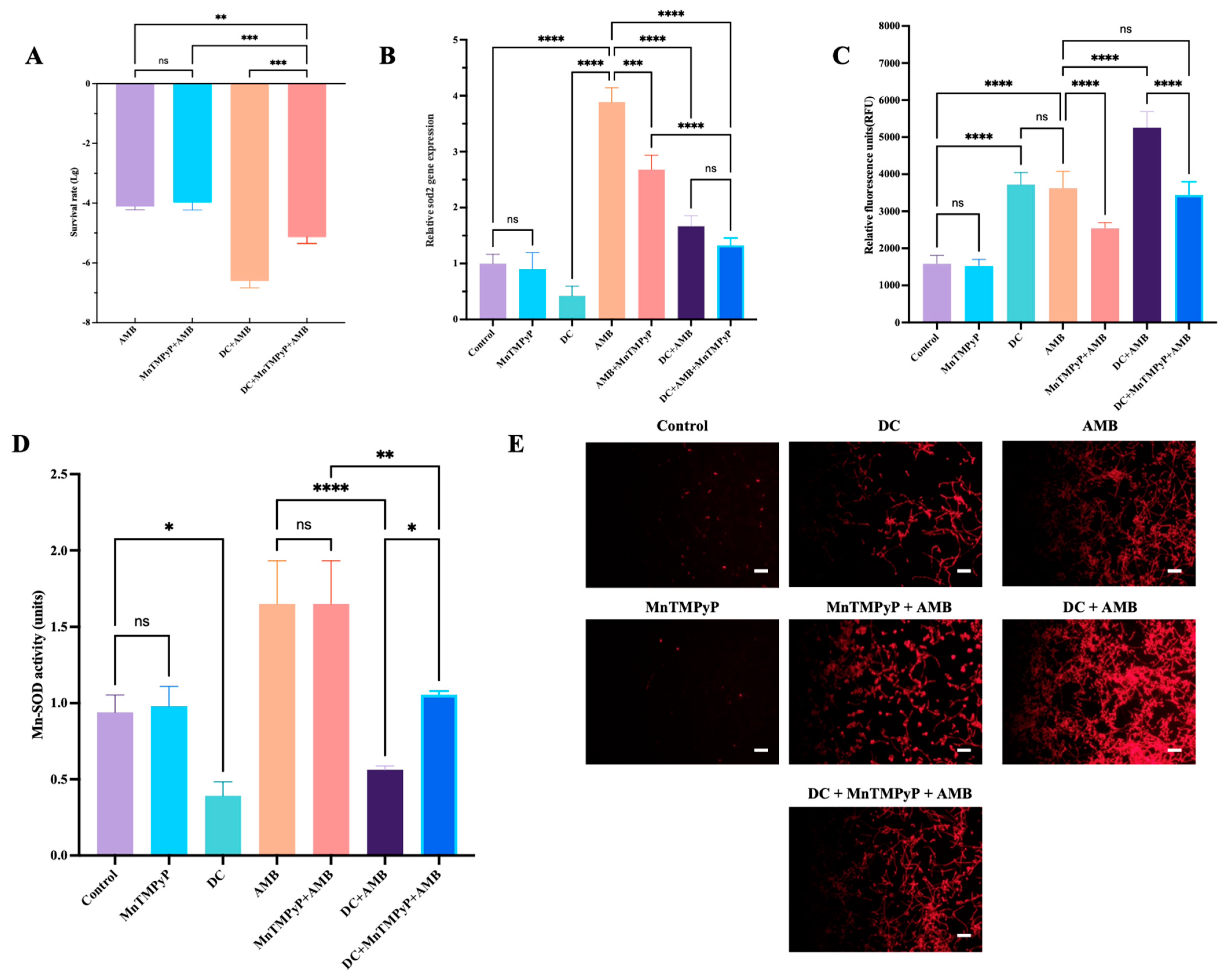 Antibiotics 13 00521 g007