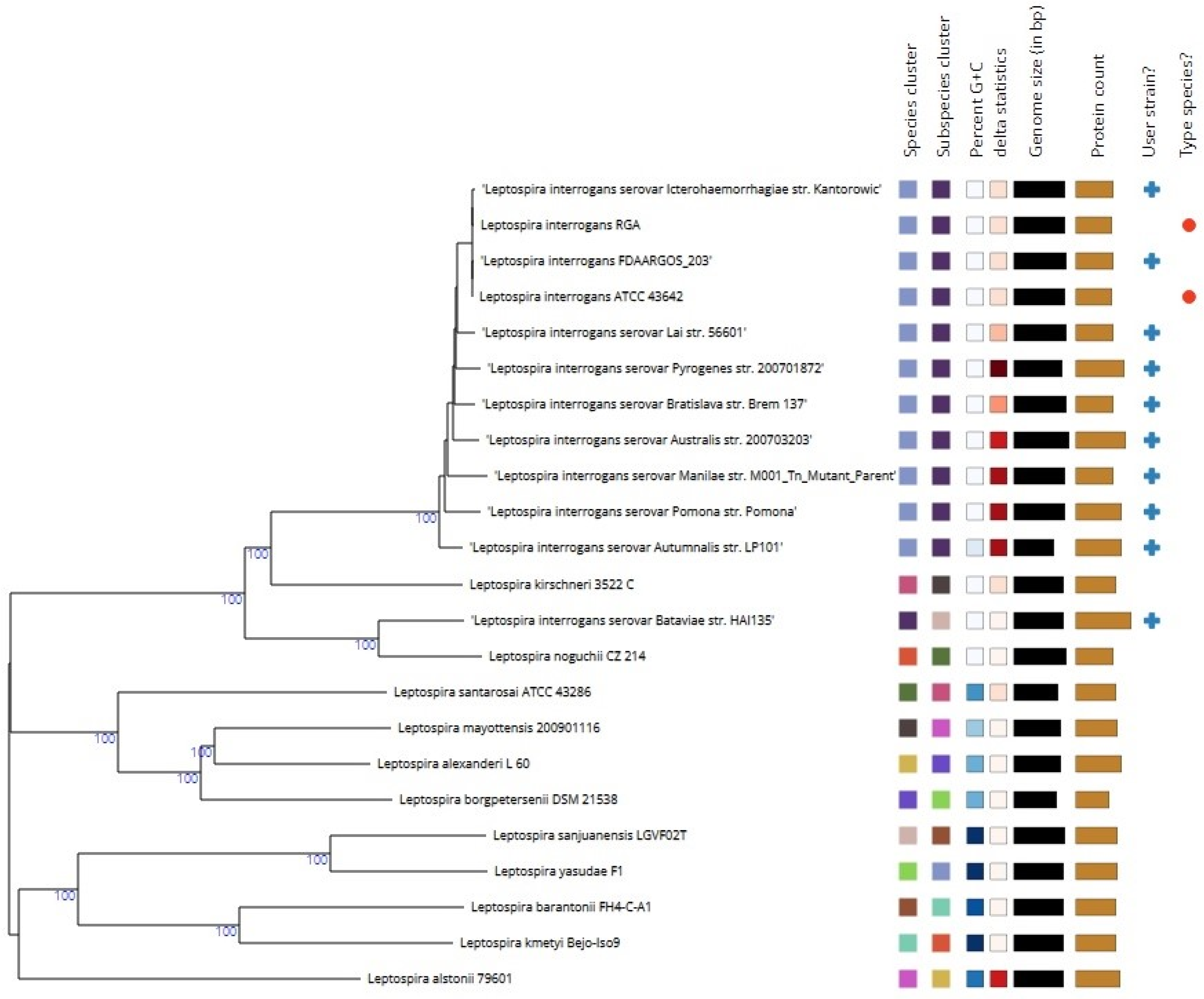 Antibiotics 13 00522 g001