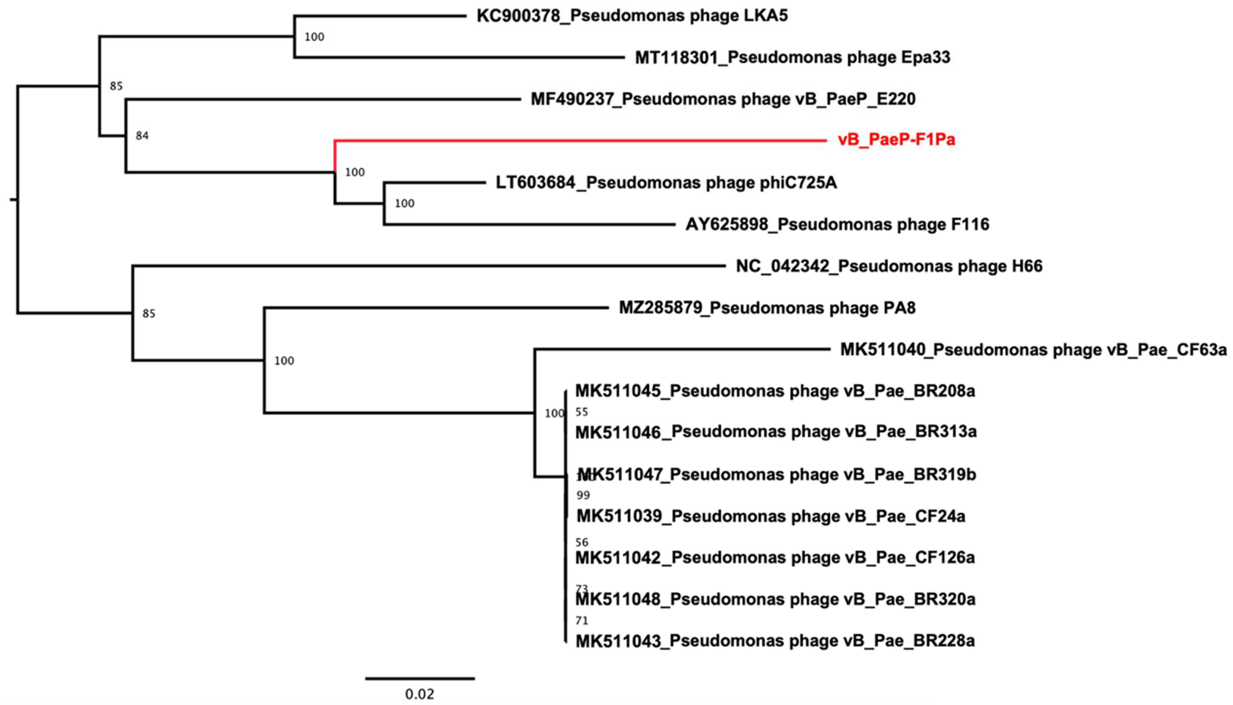 Antibiotics 13 00523 g001