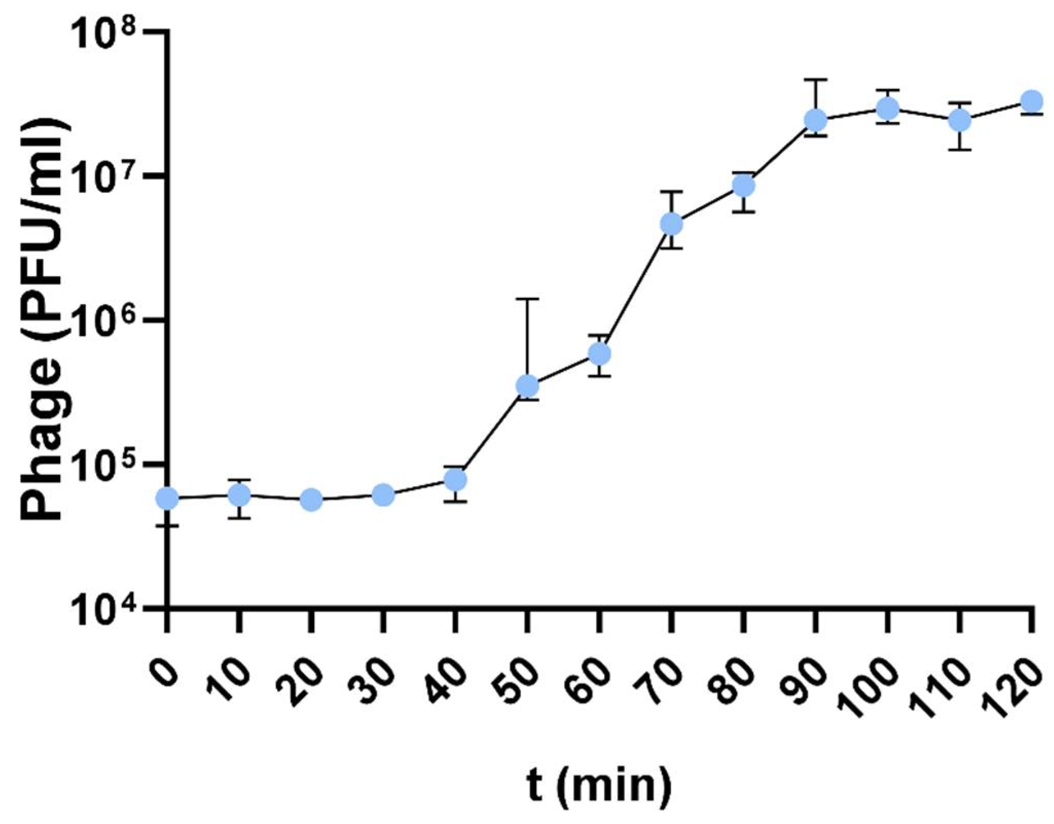 Antibiotics 13 00523 g004