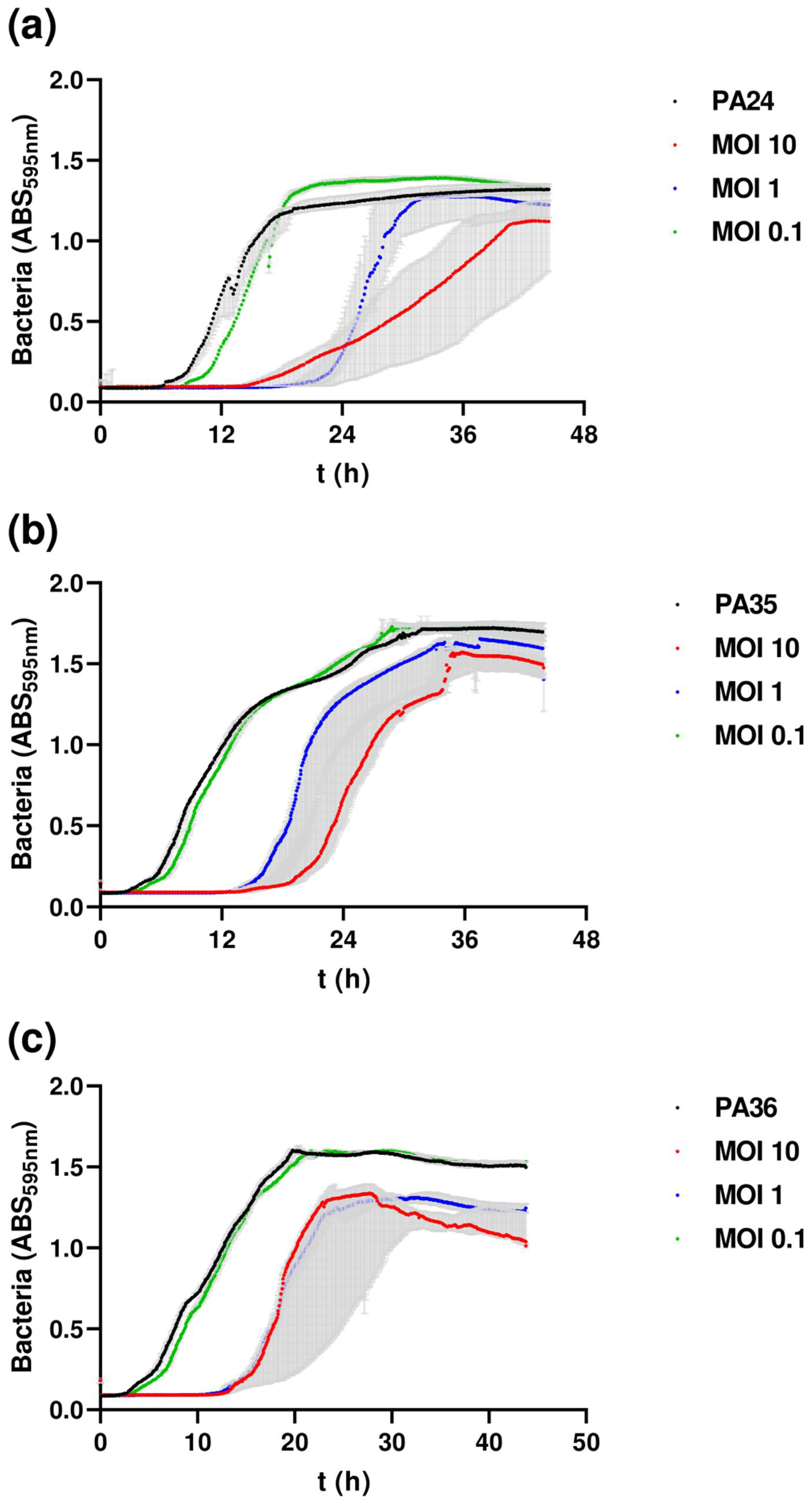 Antibiotics 13 00523 g005