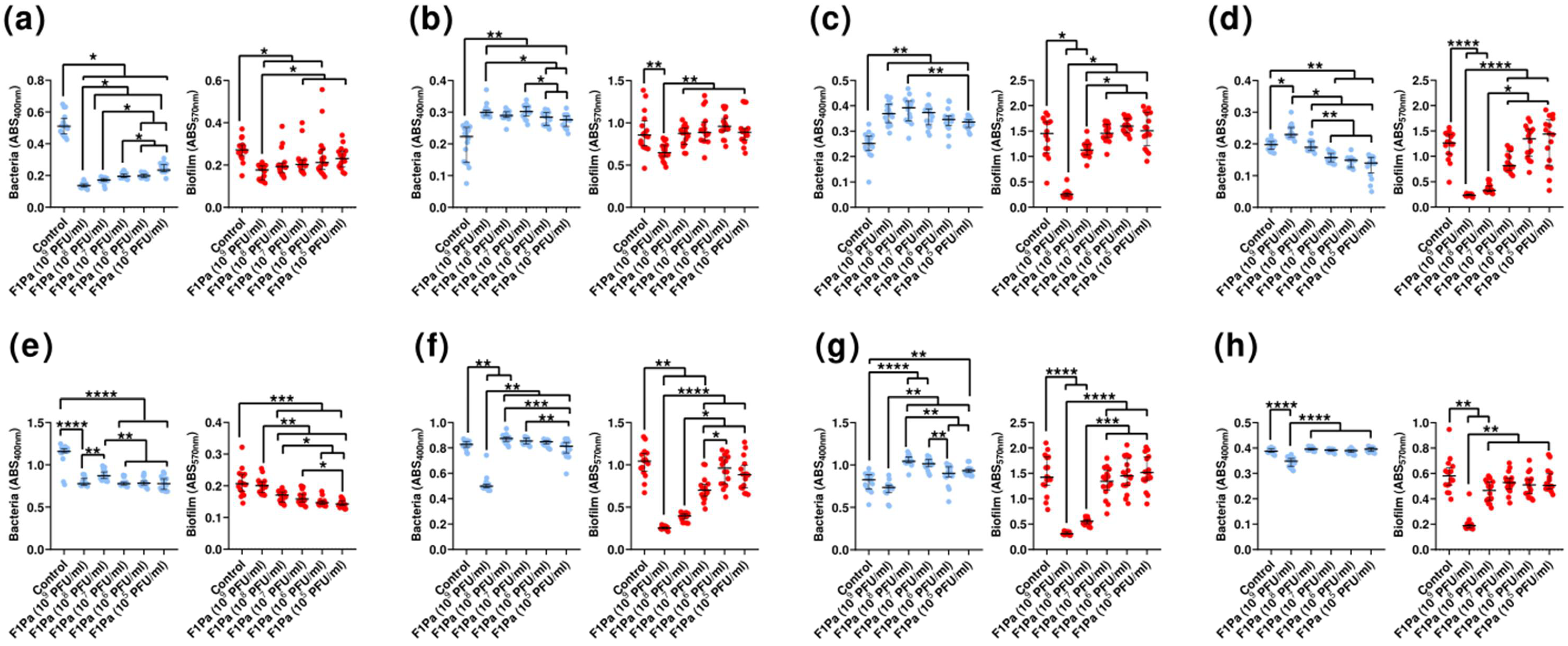 Antibiotics 13 00523 g006