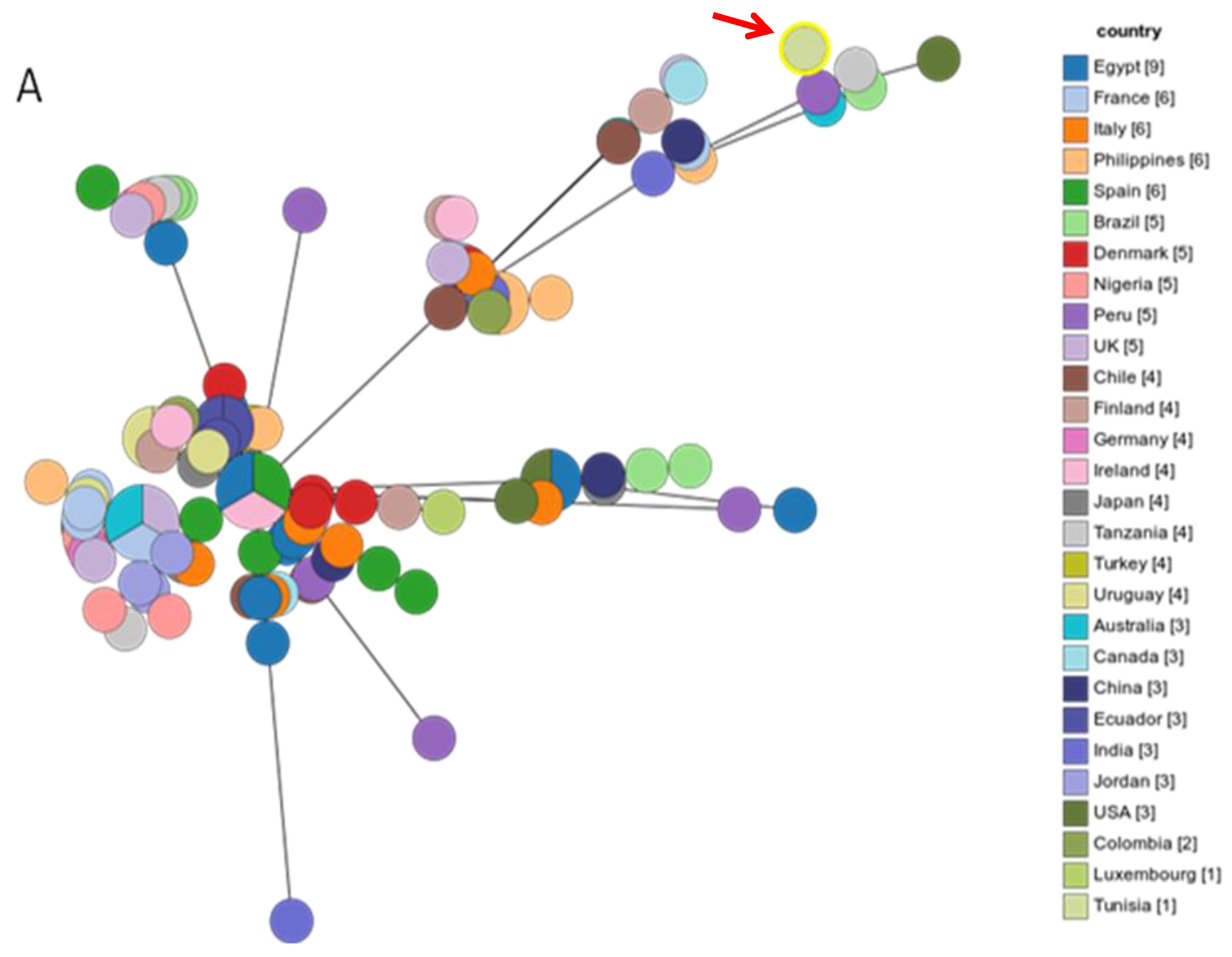 Antibiotics 13 00527 g002a