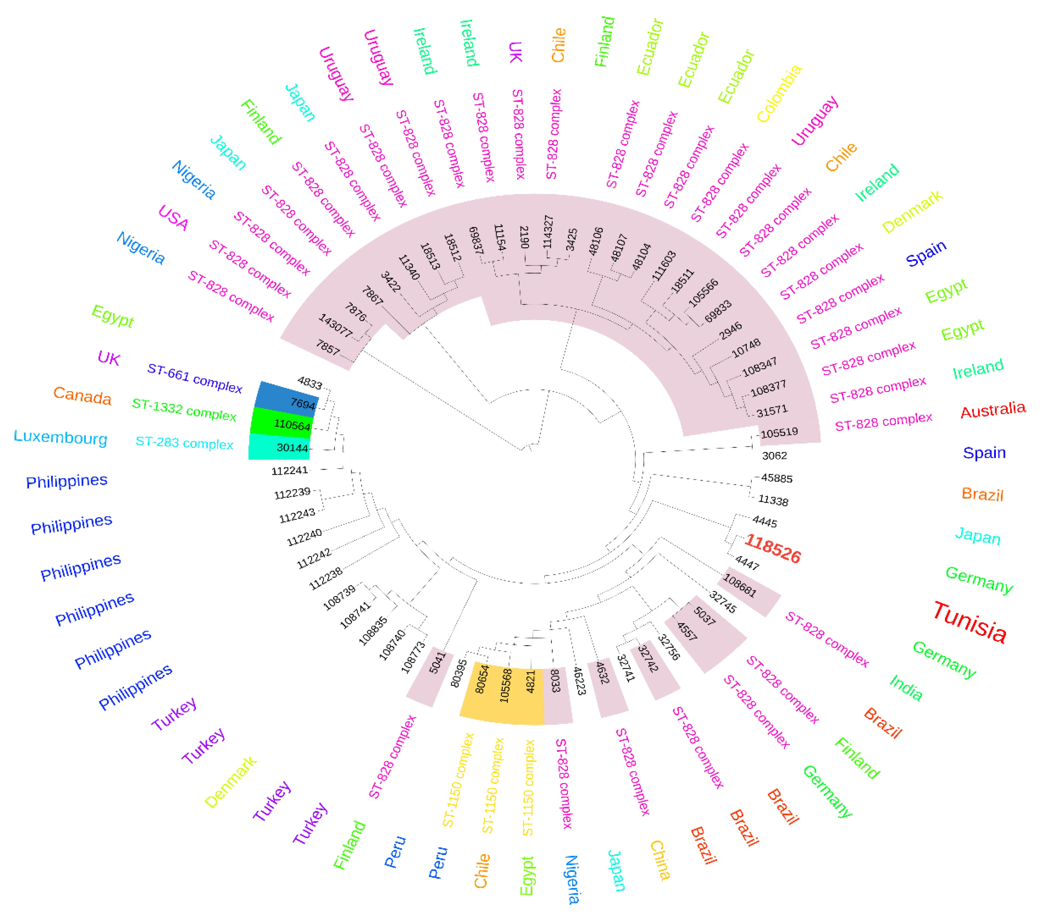 Antibiotics 13 00527 g003