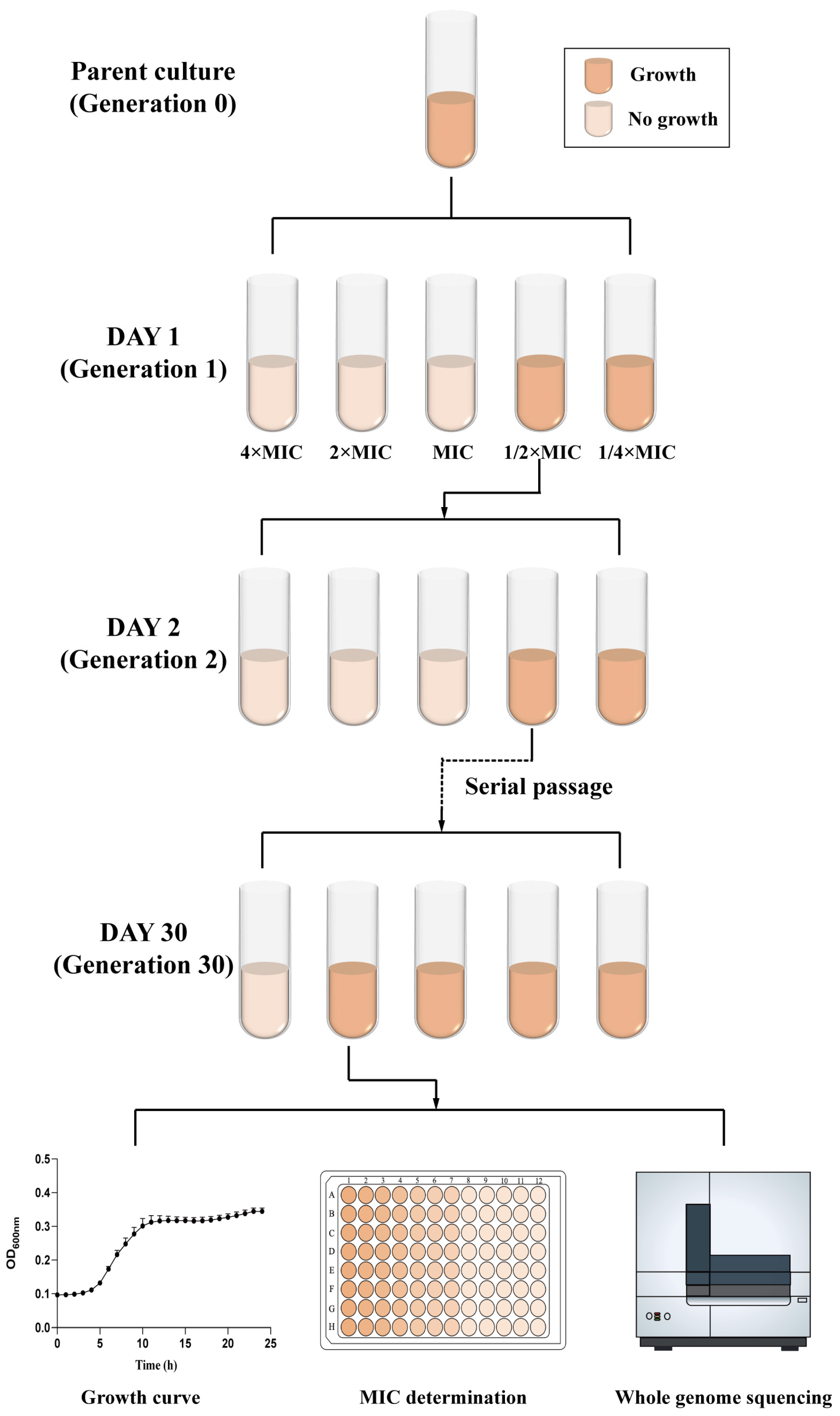 Antibiotics 13 00528 g001 Antibiotics 13 00528 g001