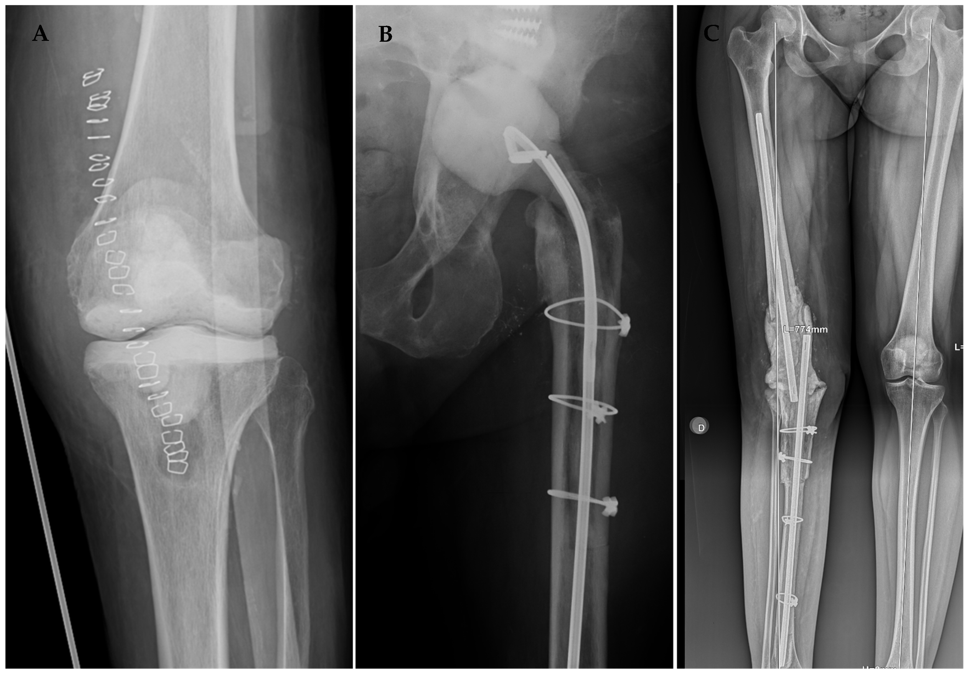 Antibiotics 13 00538 g004