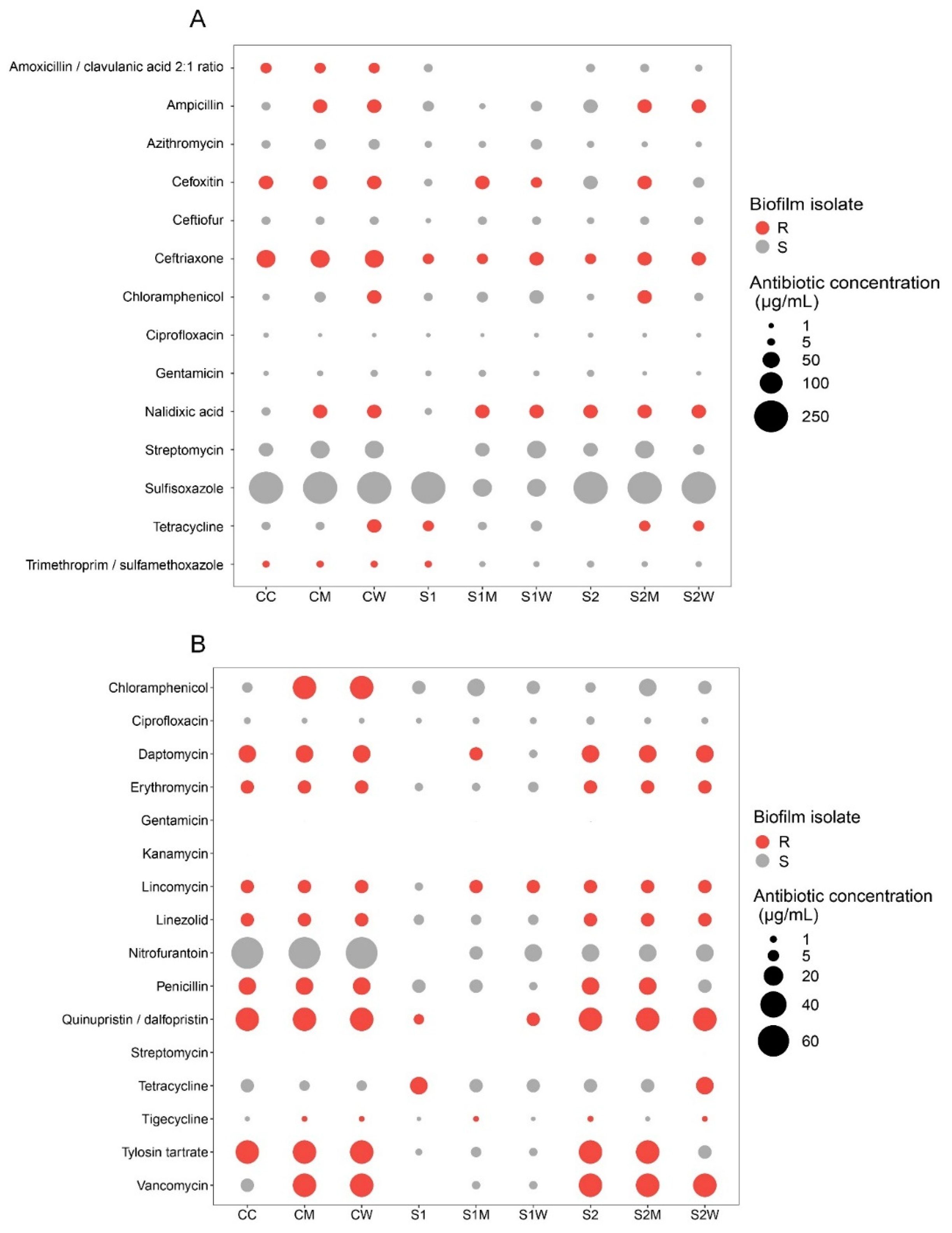 Antibiotics 13 00539 g008