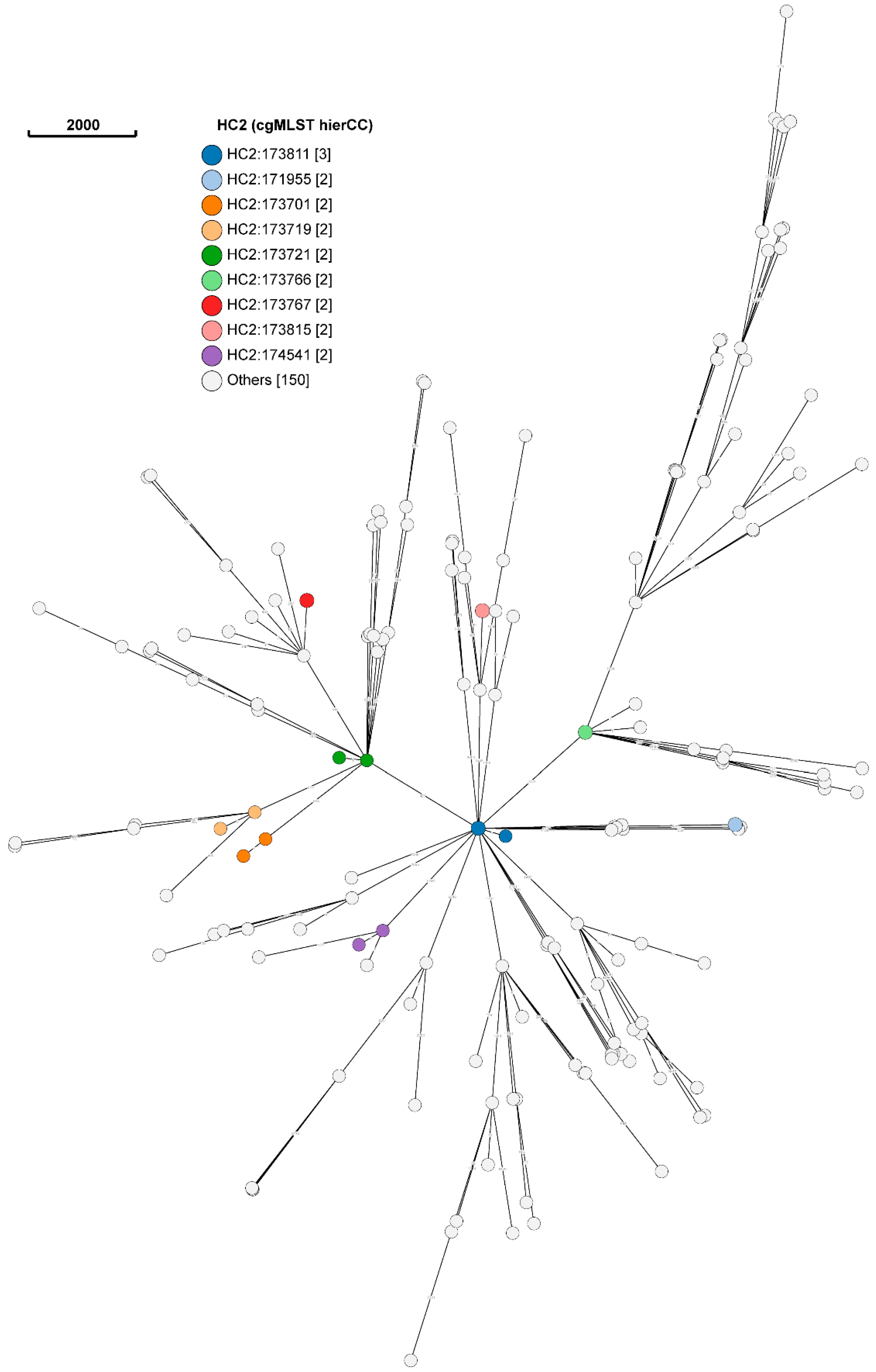 Antibiotics 13 00543 g002