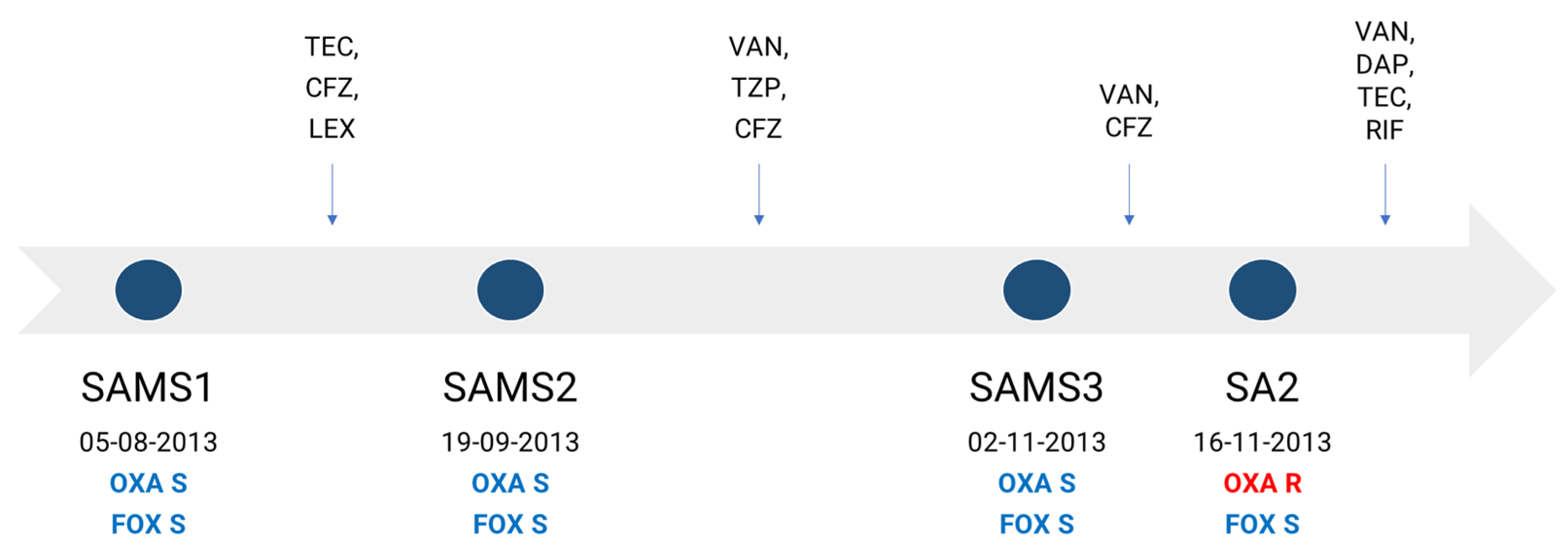 Antibiotics 13 00554 g001