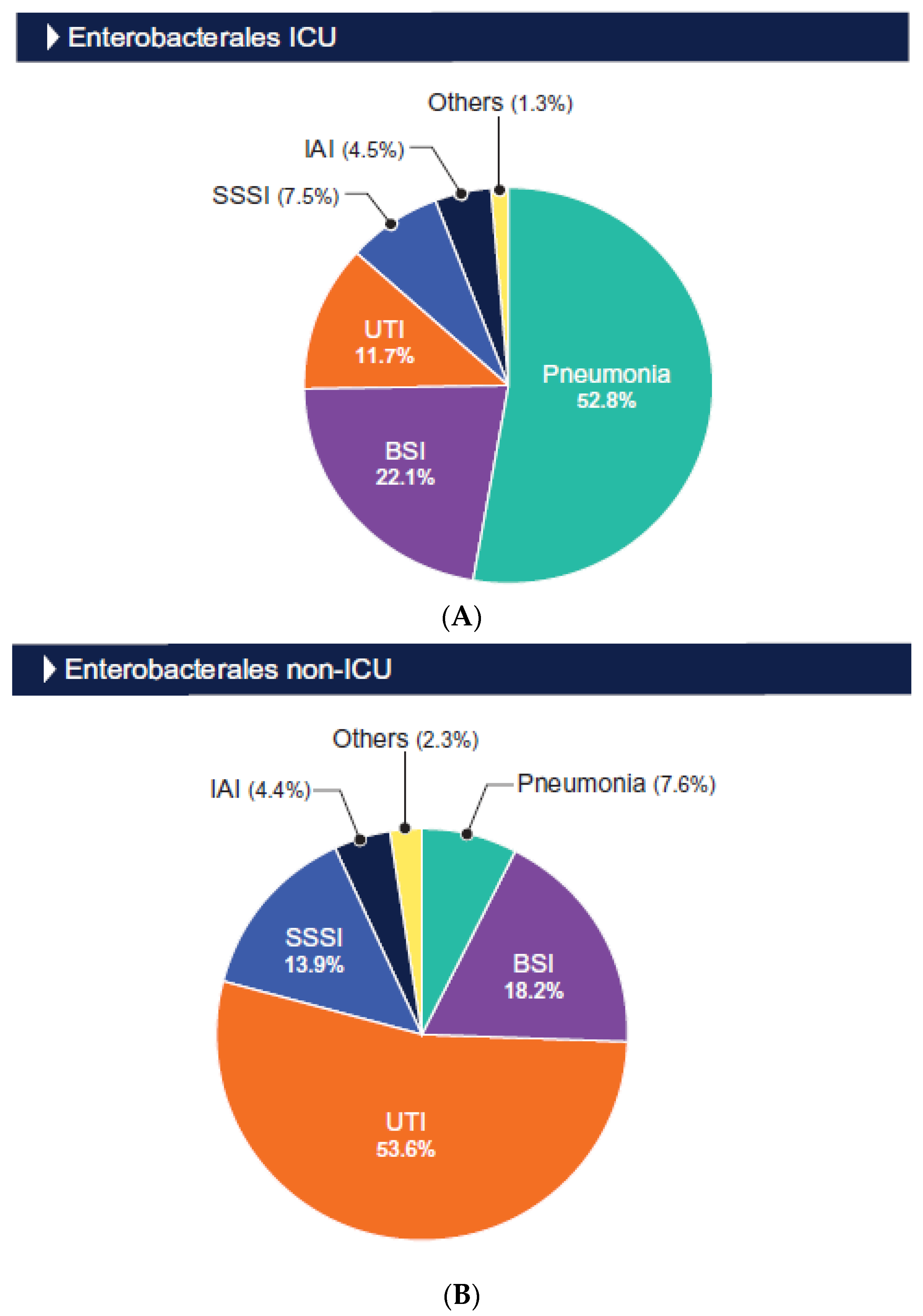 Antibiotics 13 00564 g001