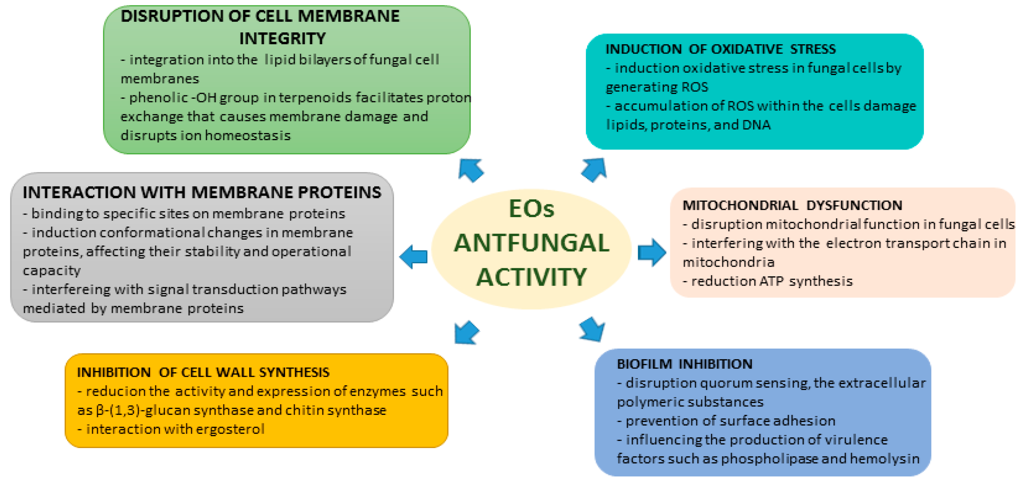 Antibiotics 13 00568 g002