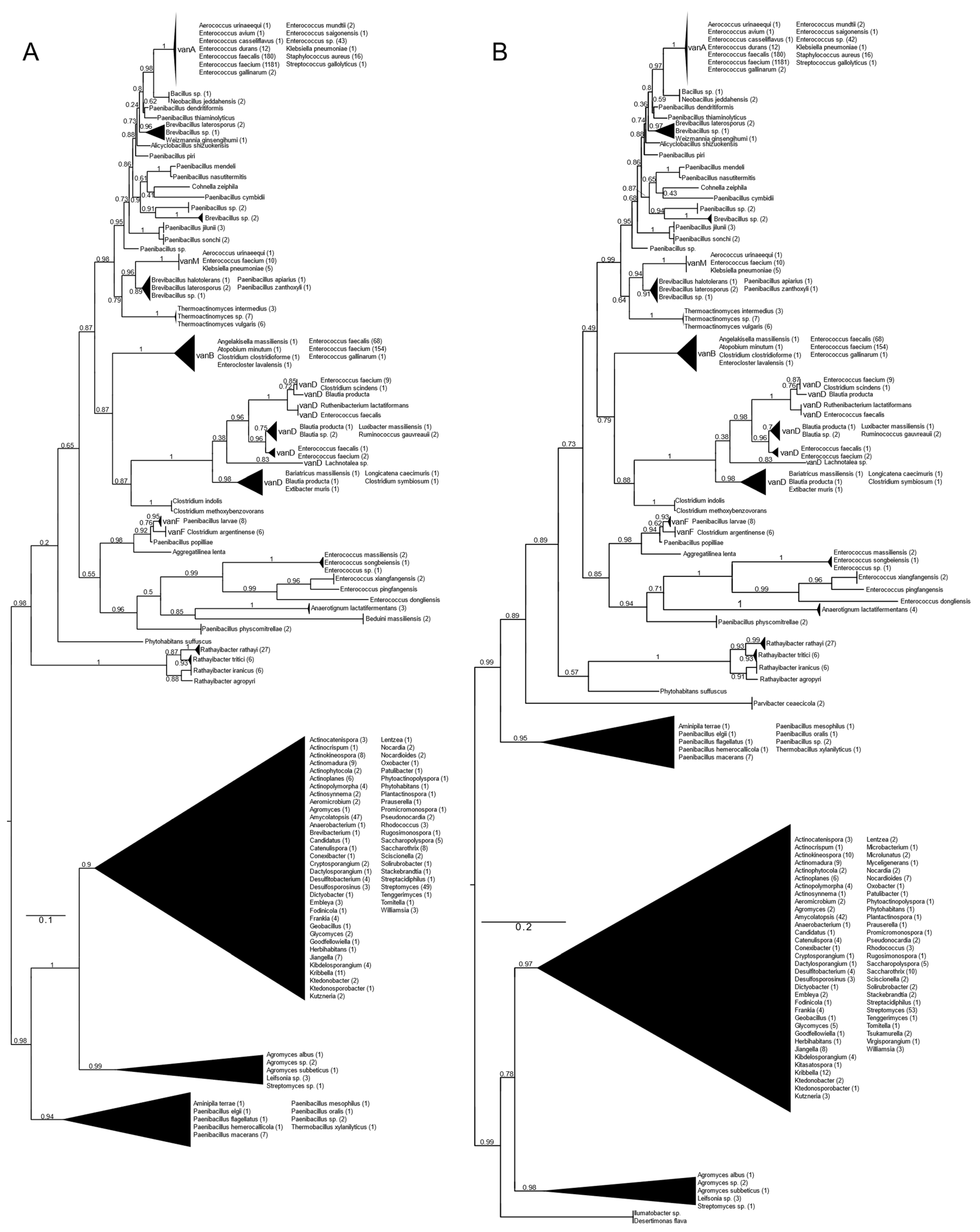 Antibiotics 13 00573 g001