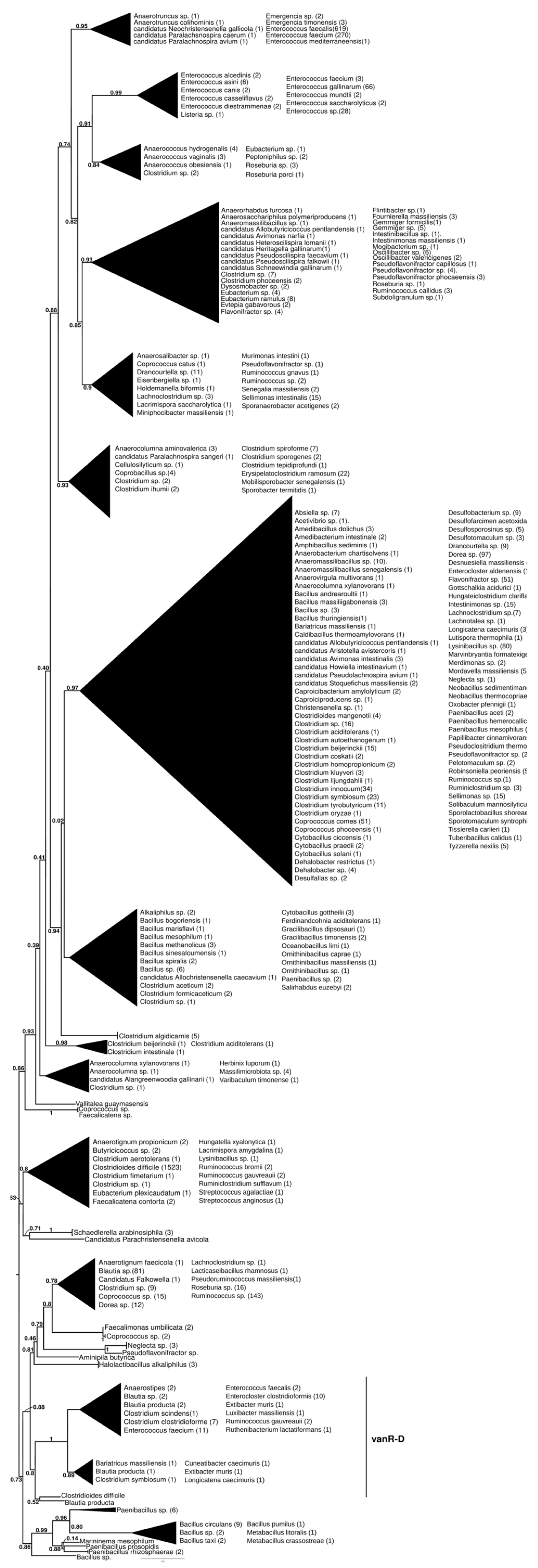 Antibiotics 13 00573 g005