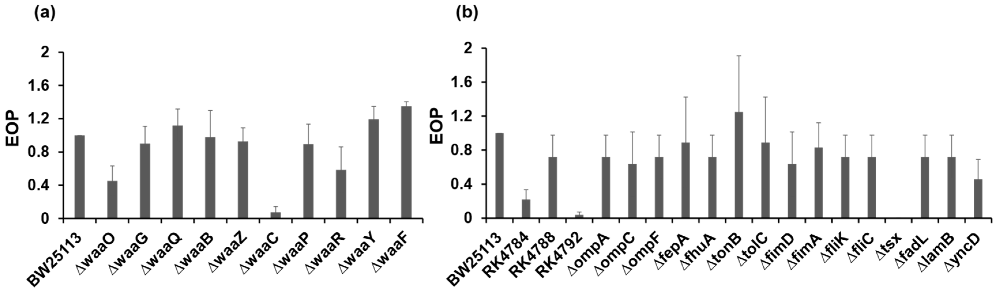 Antibiotics 13 00581 g004