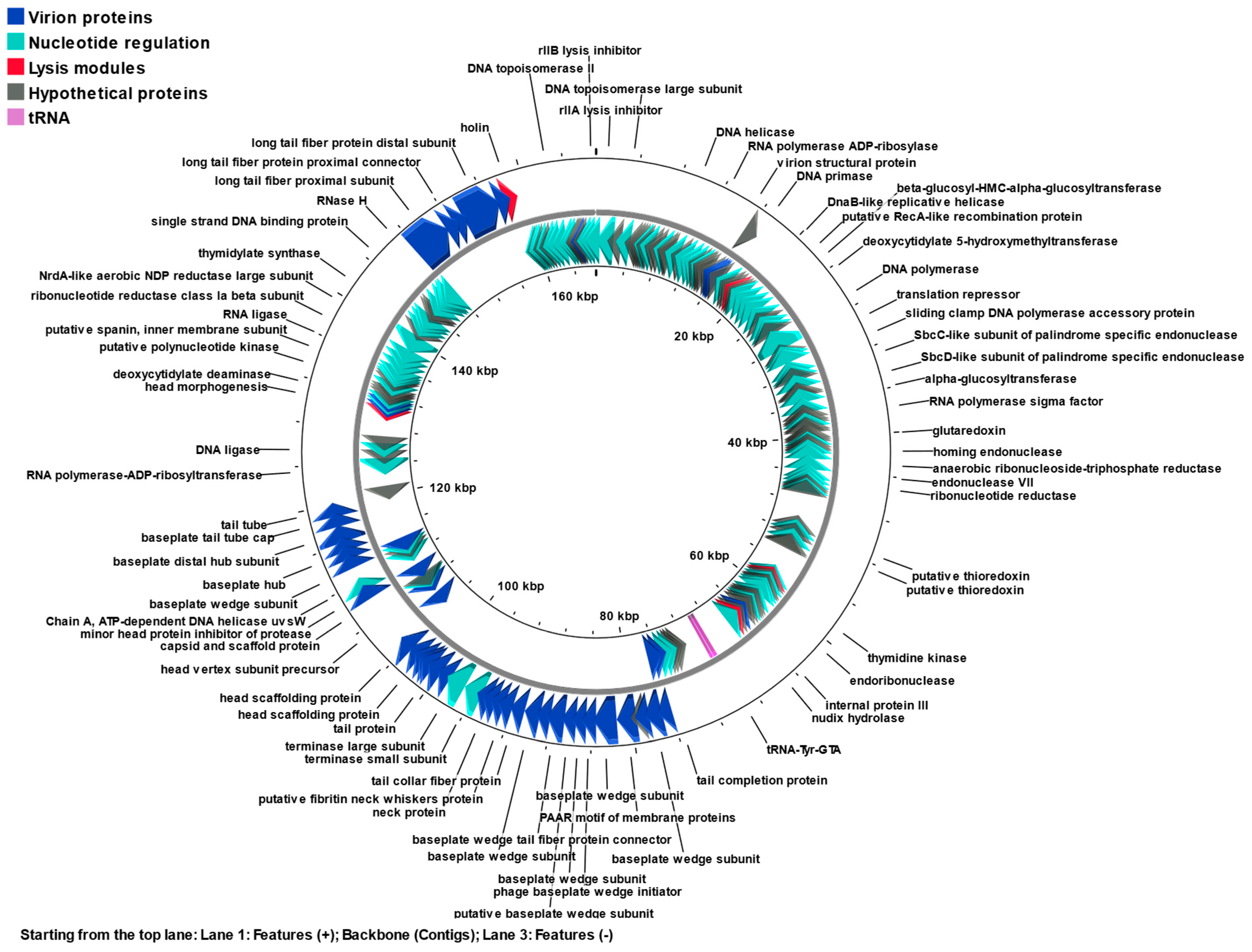 Antibiotics 13 00581 g005