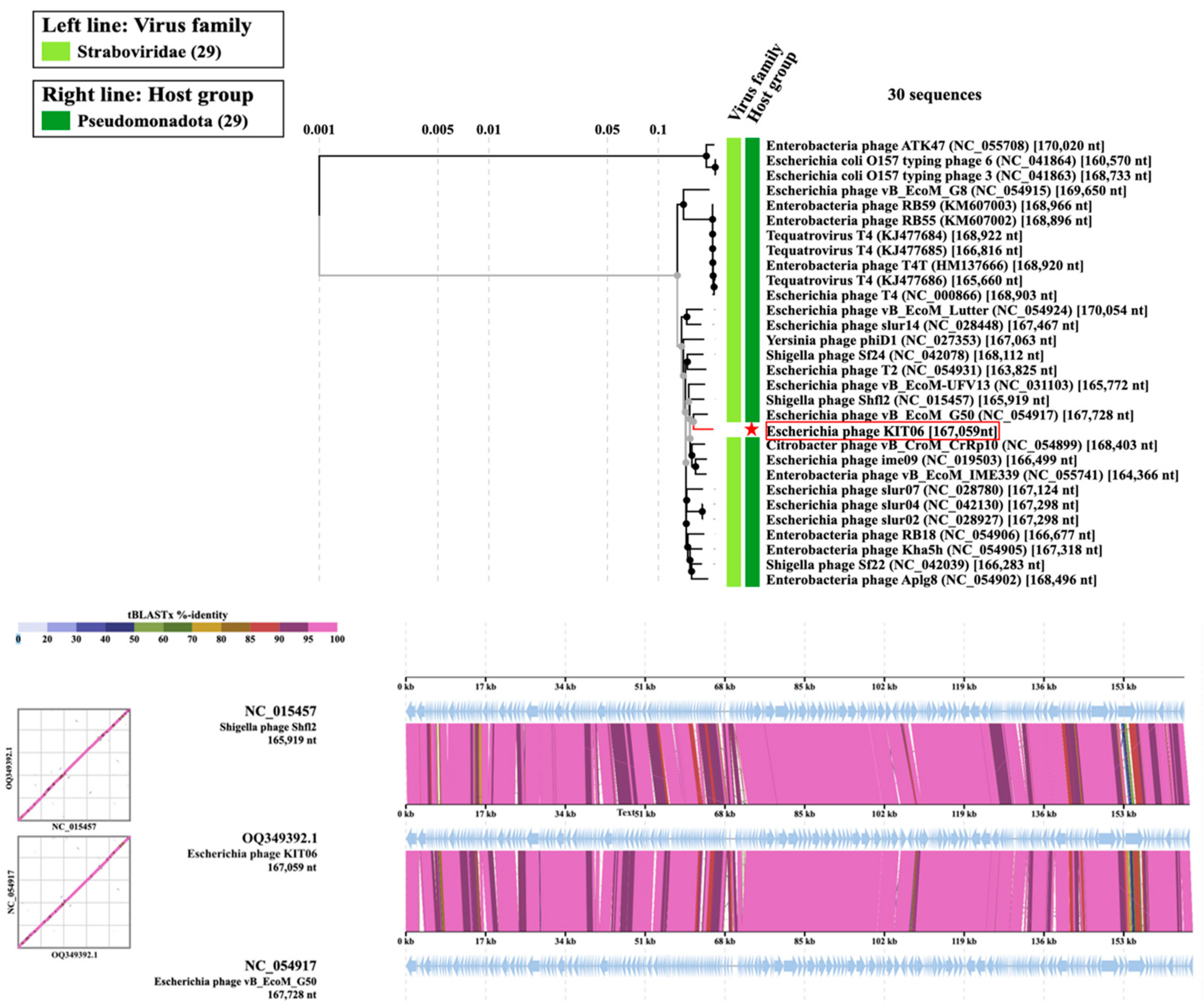 Antibiotics 13 00581 g006