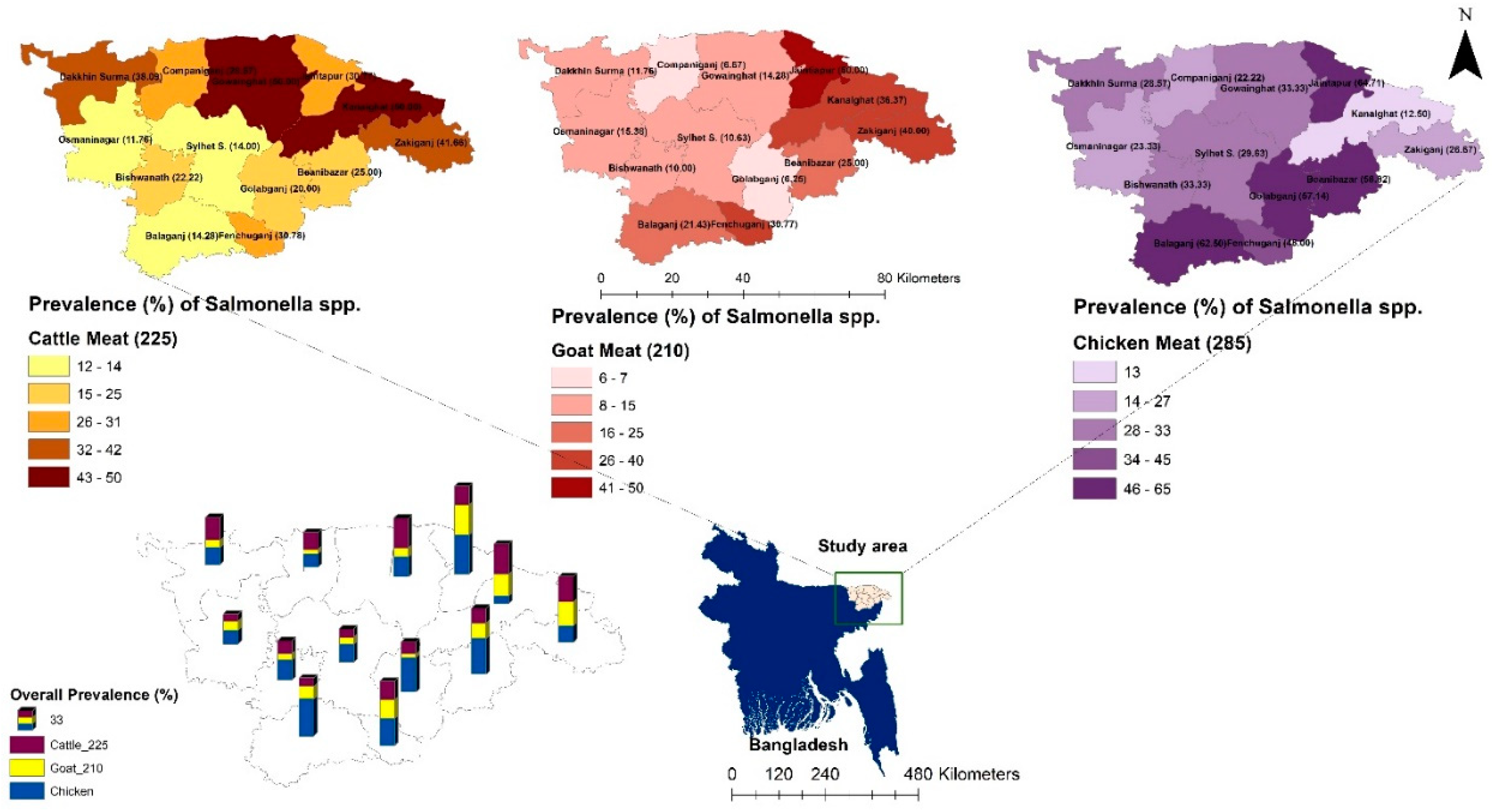 Antibiotics 13 00586 g001